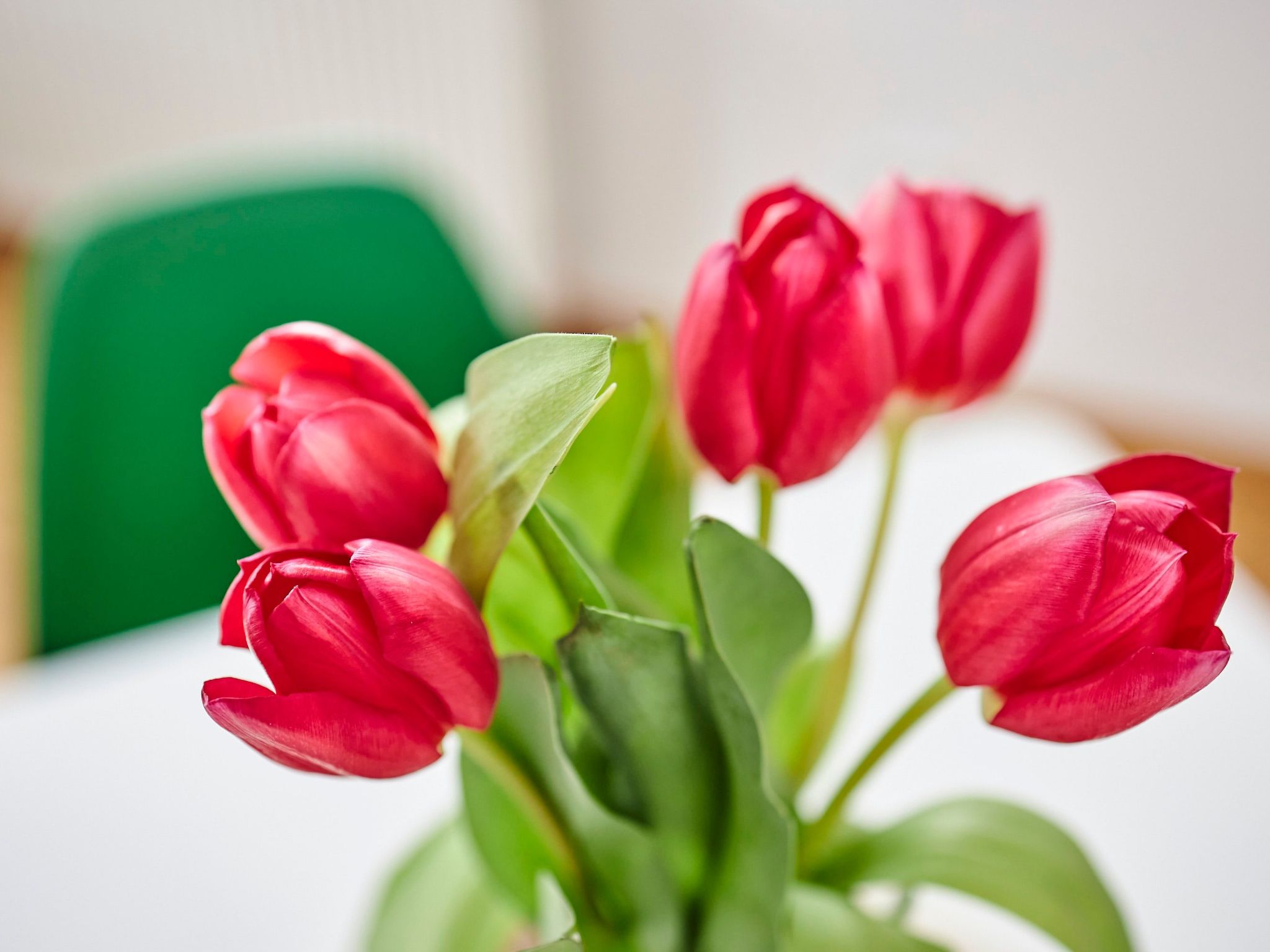 Komfortables Ferienhaus in purer Natur-Binnen