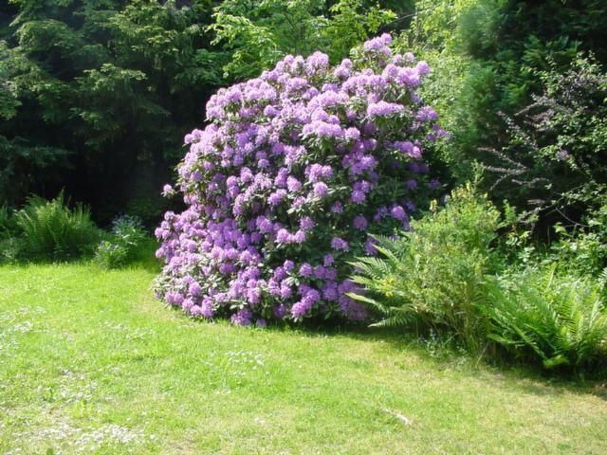 Ederseeblick in Bringhausen am Edersee-Binnen