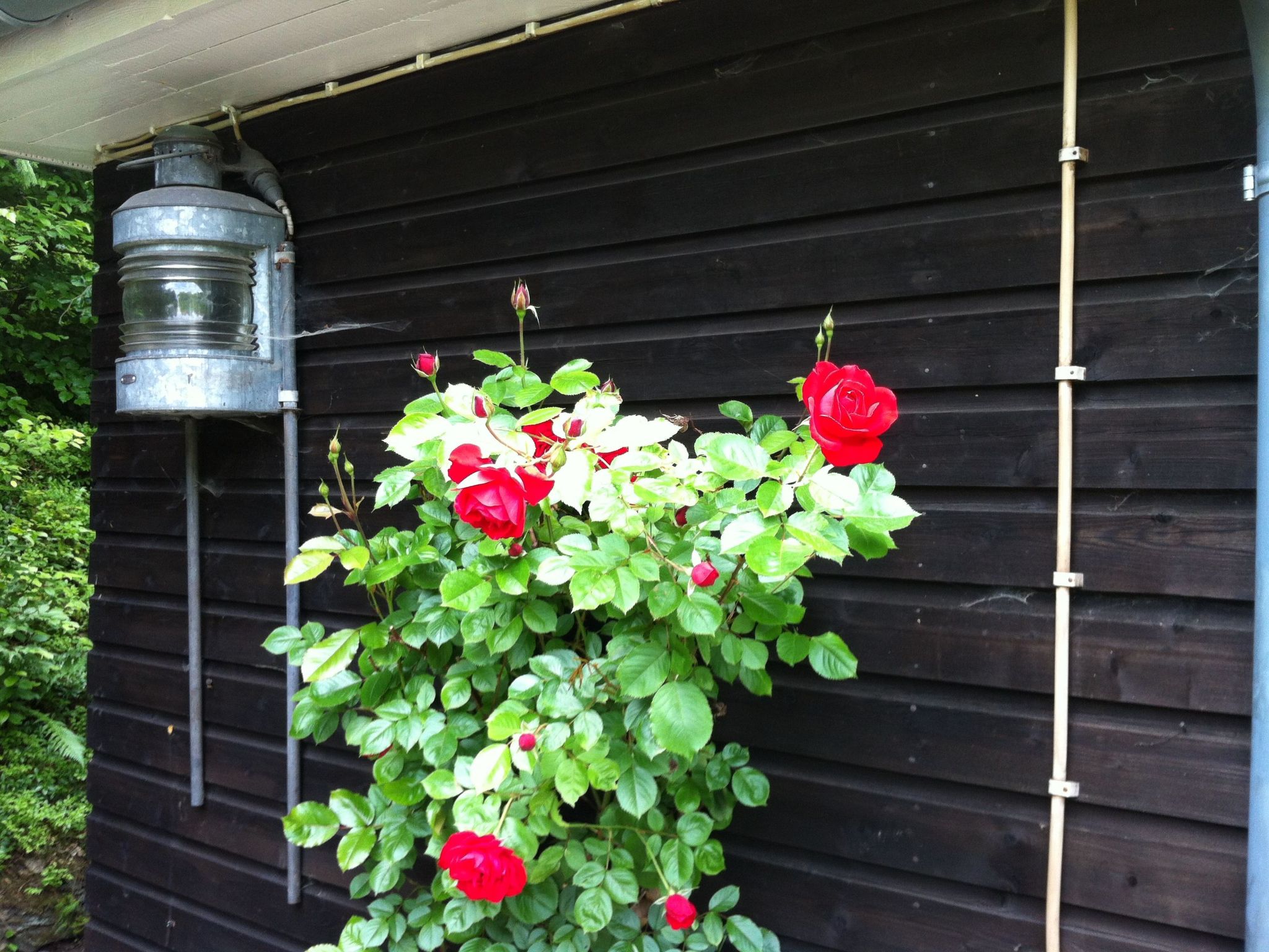 Ederseeblick in Bringhausen am Edersee-Binnen