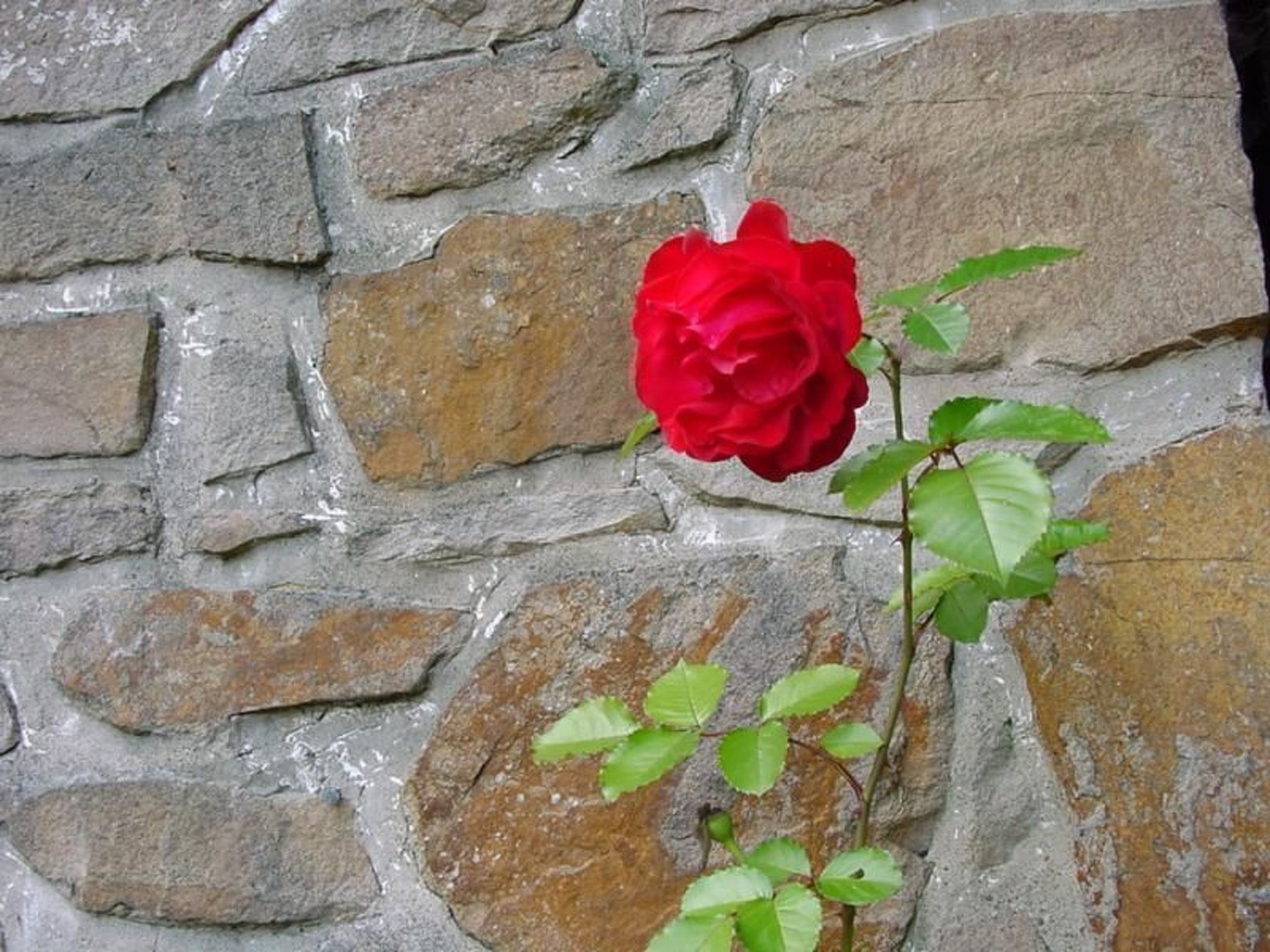 Ederseeblick in Bringhausen am Edersee-Binnen