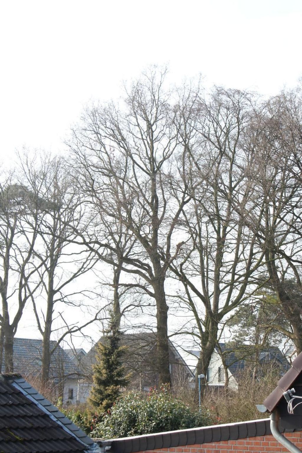 In Bedburg-Hau-Binnen