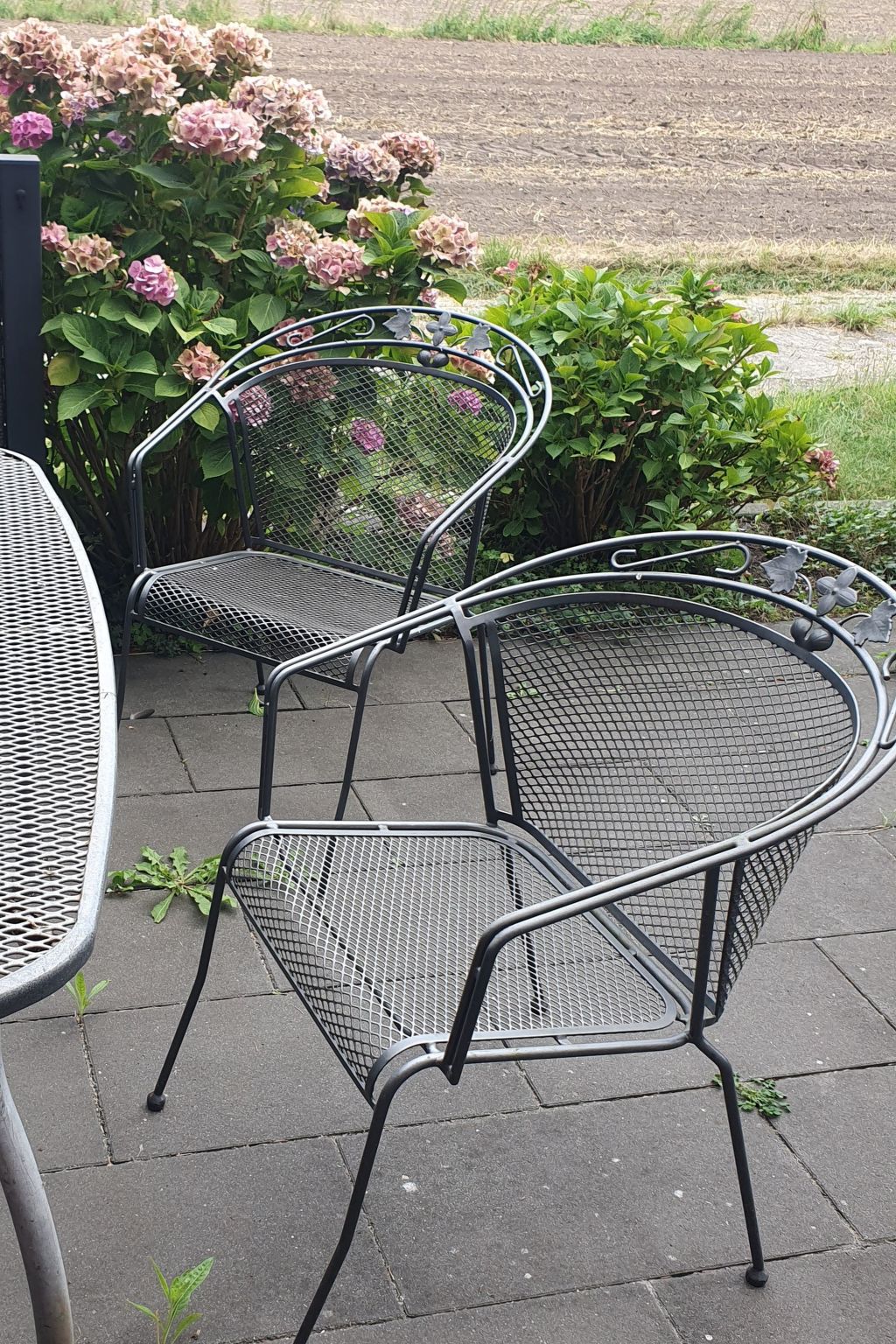 Im Grünen-Image-tags.info