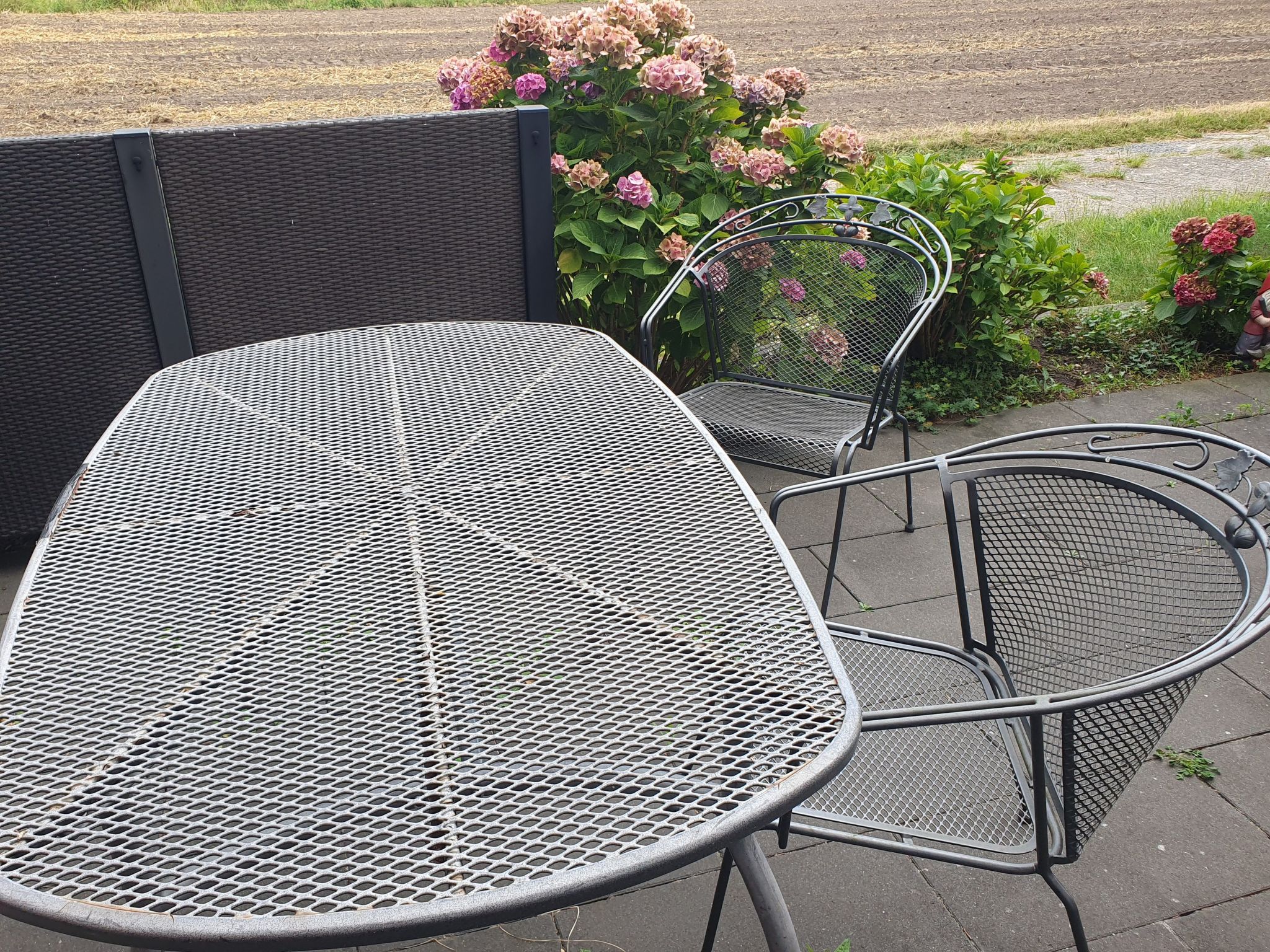 Im Grünen-Image-tags.info