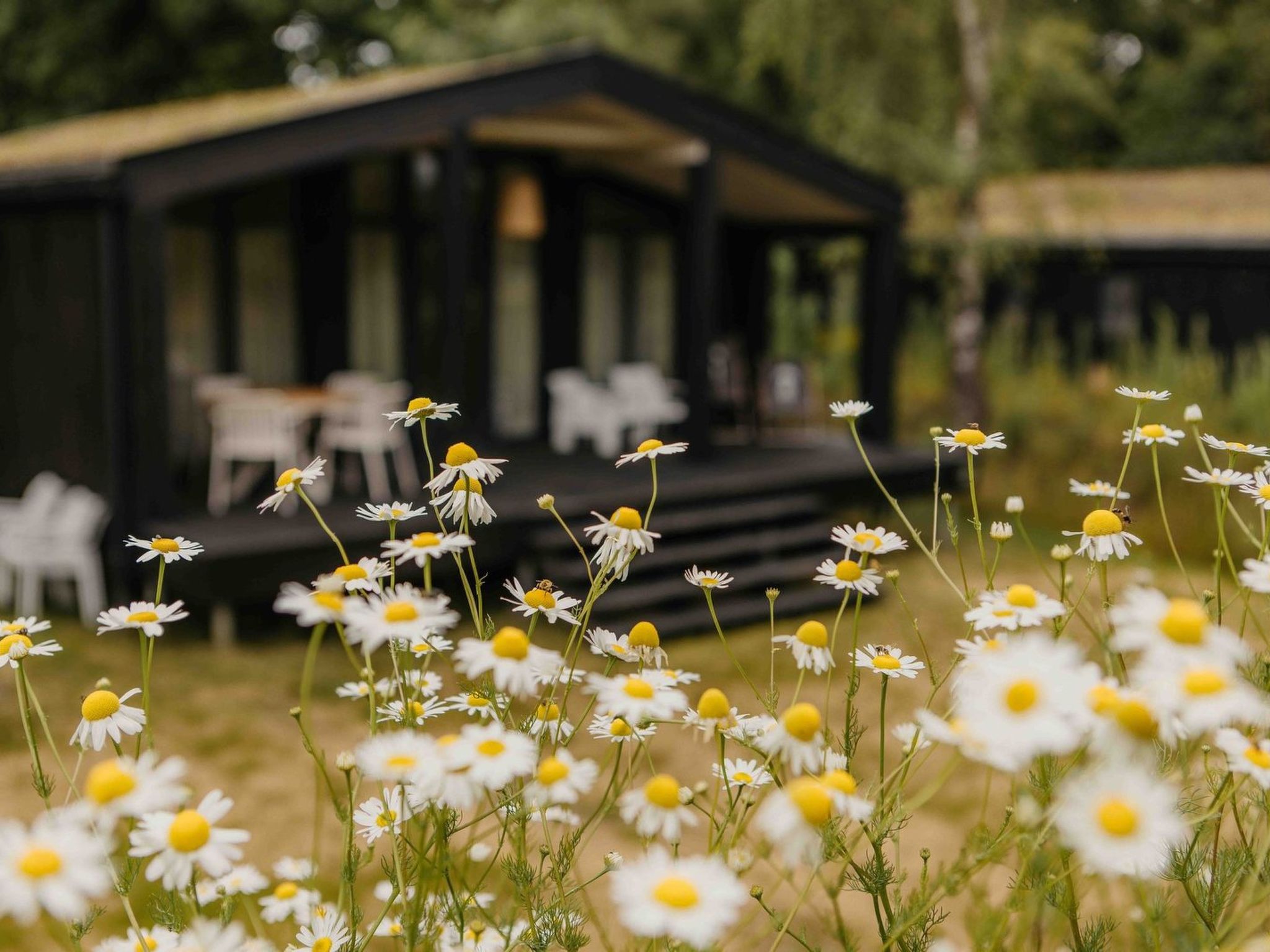 Wilsumer Berge Resort - The Hills Hottub - Draußen