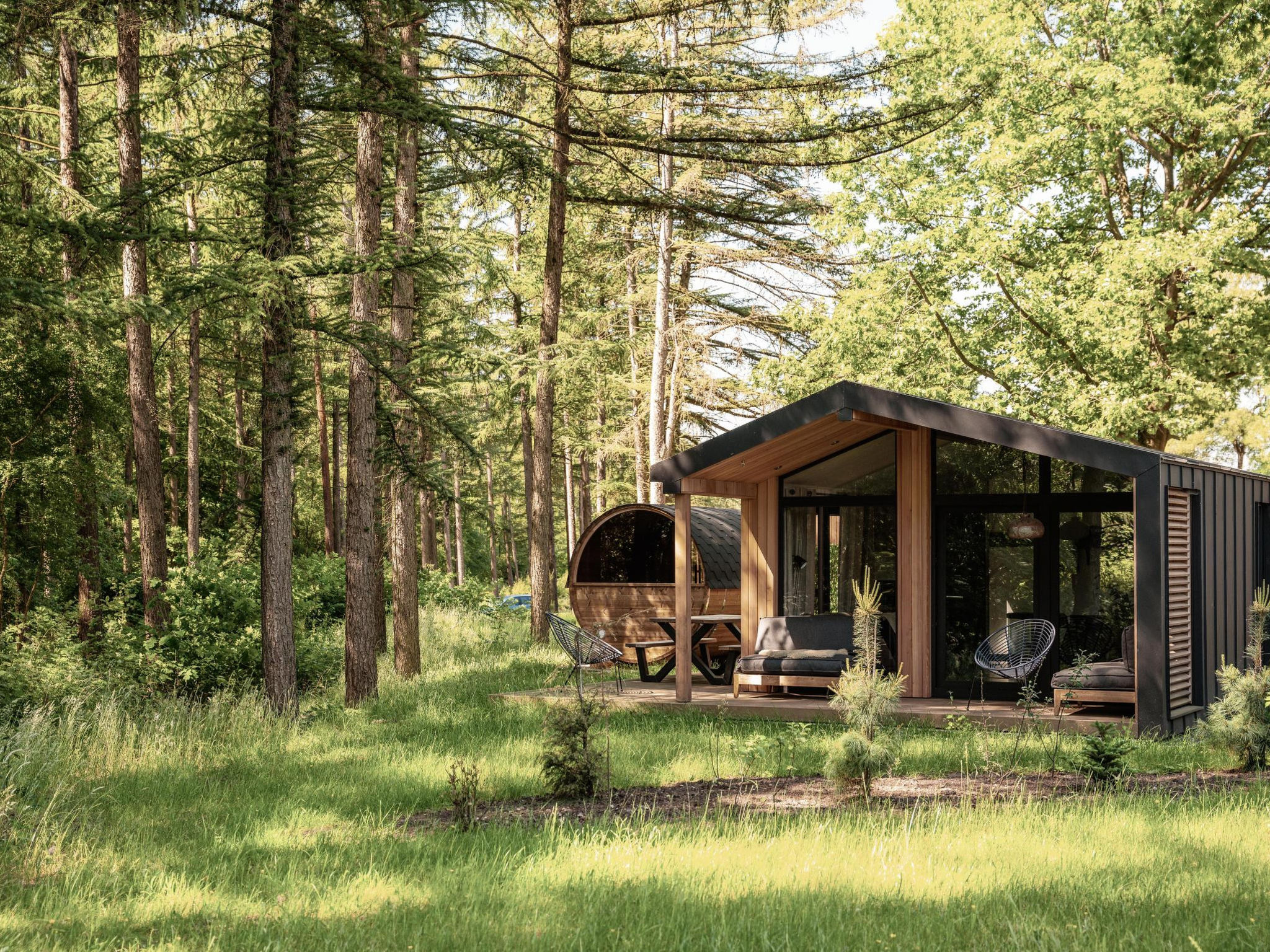 Wilsumer Berge Resort - Lodge Panorama sauna 6p