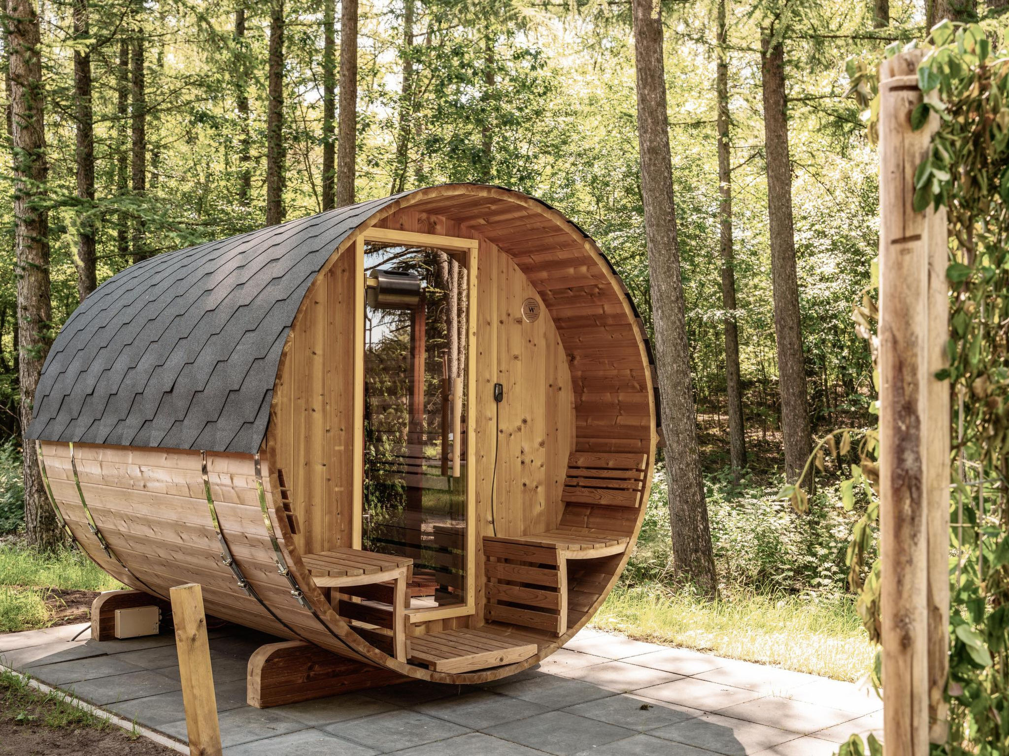Wilsumer Berge Resort - Lodge Panorama sauna 6p - Drinnen