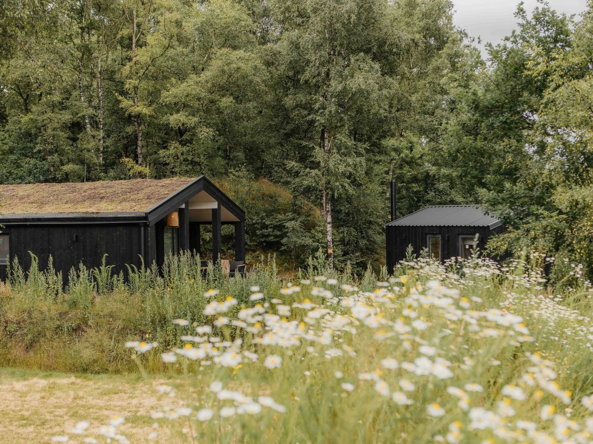 Wilsumer Berge Resort - The Hills Hottub & Sauna - Draußen