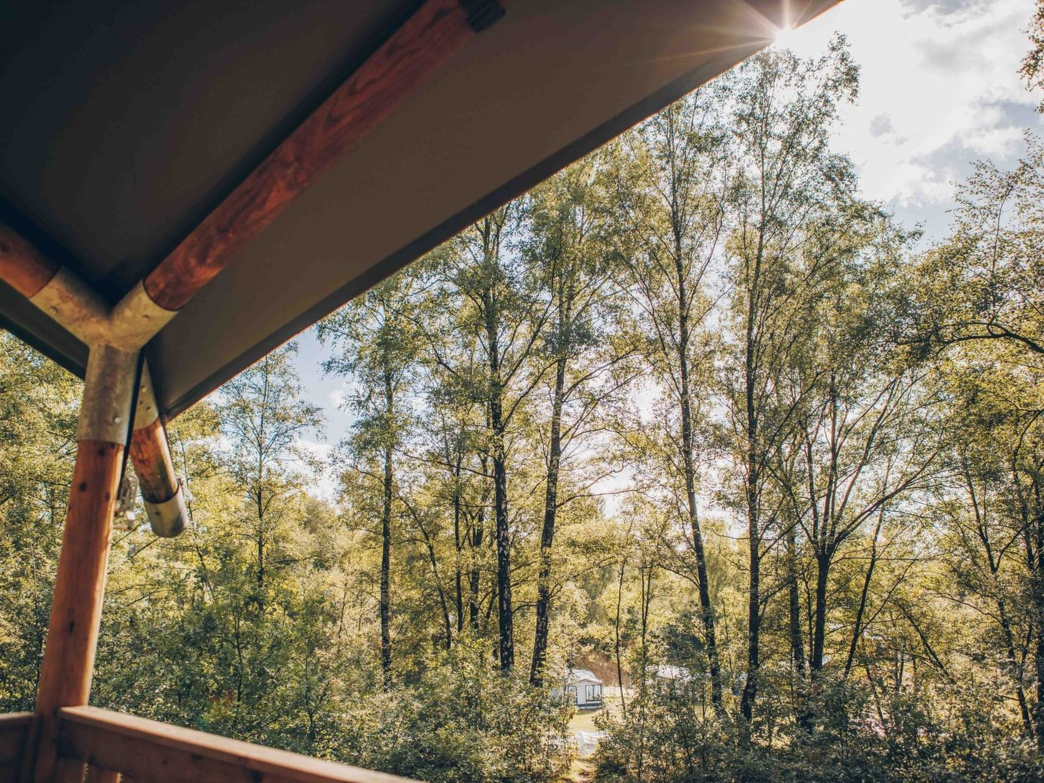 Wilsumer Berge Resort - Glampingtent 7p - Buiten