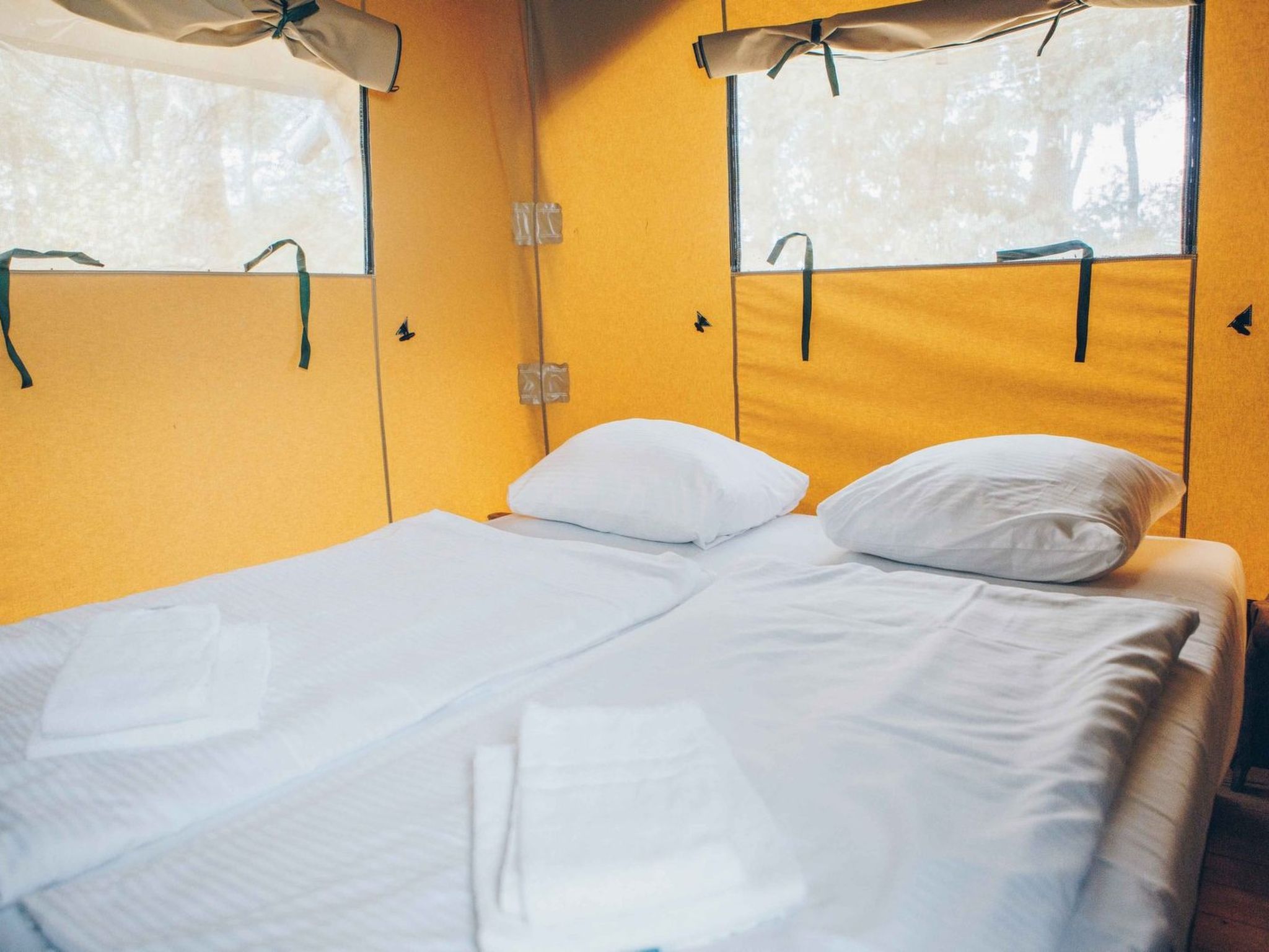 Wilsumer Berge Resort - Glampingtent 5p - Buiten