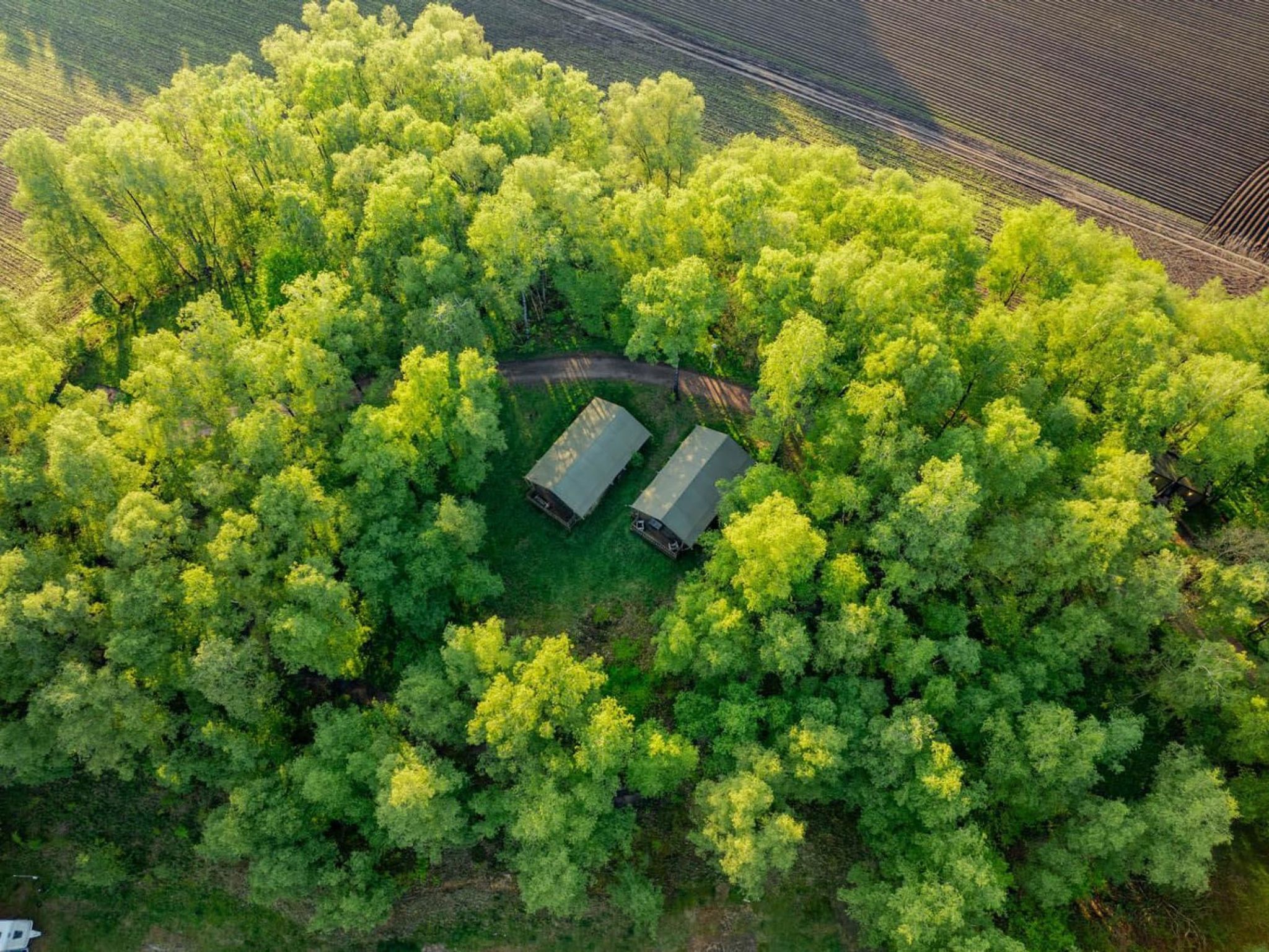 Wilsumer Berge Resort - Glampingtent 5p - Buiten
