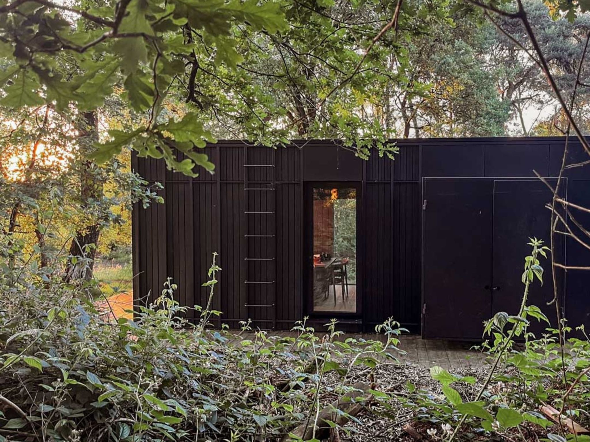 Wilsumer Berge Resort - Nokken Forest Cabin 2 pers - Buiten