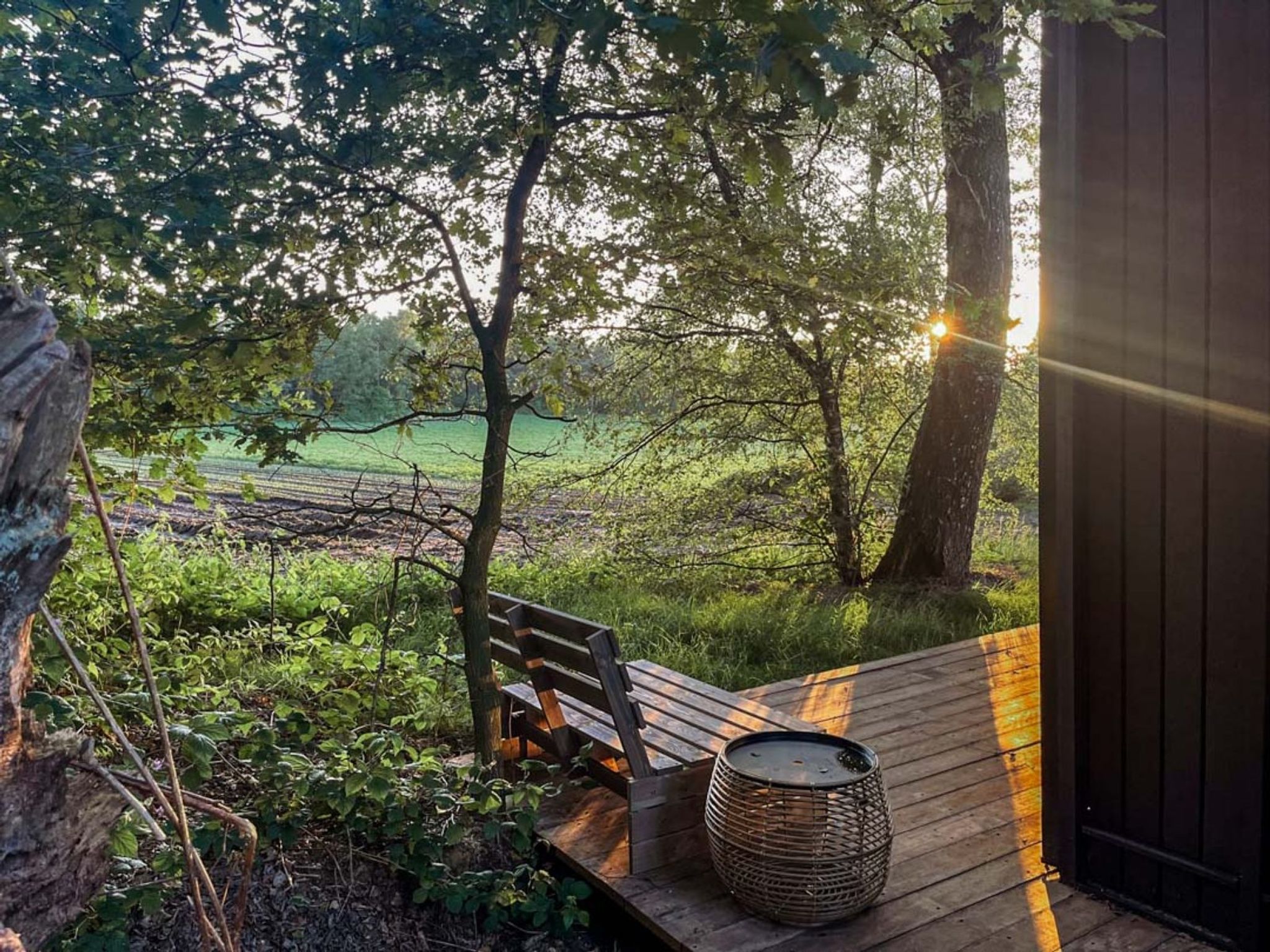 Wilsumer Berge Resort - Nokken Forest Cabin 2 pers - Buiten