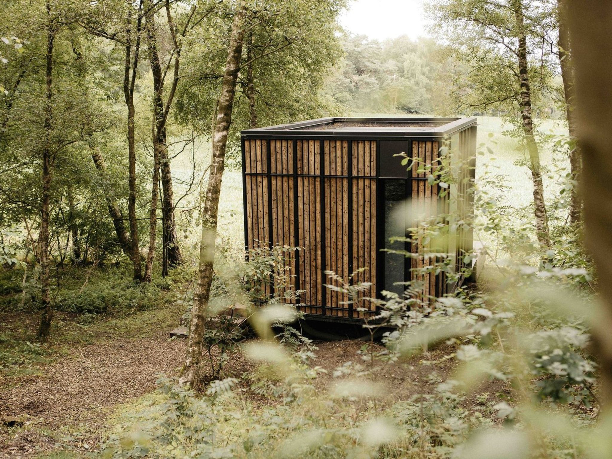 Wilsumer Berge Resort - Nokken 18 Forest Cabin 2 p - Buiten
