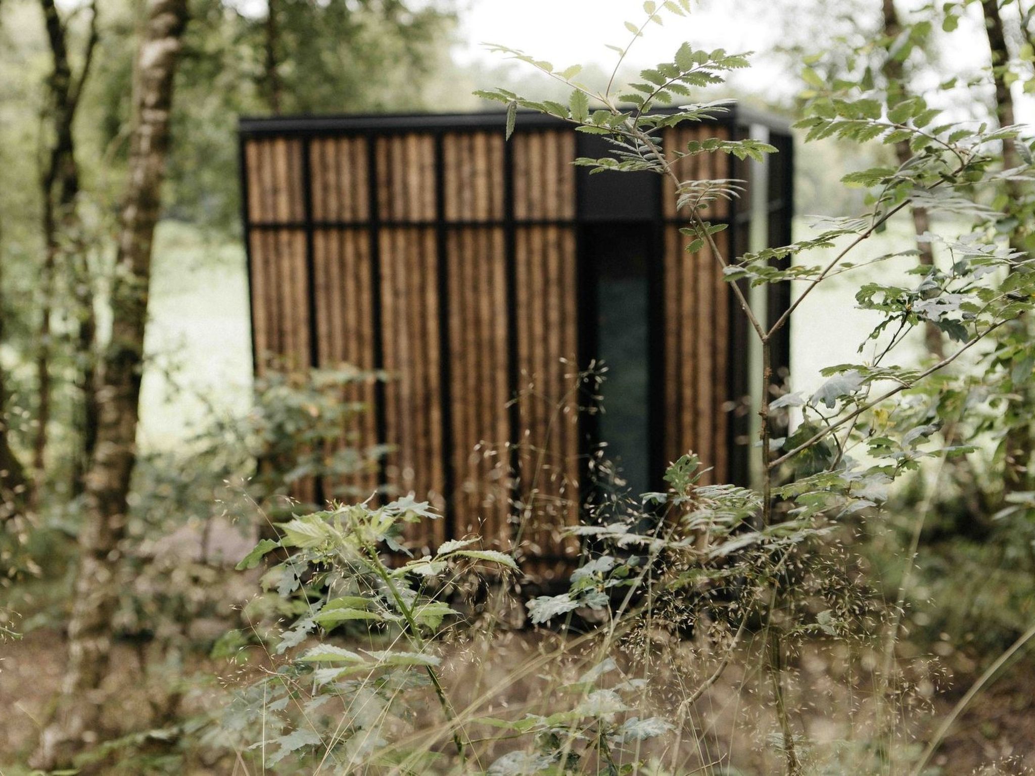 Wilsumer Berge Resort - Nokken 18 Forest Cabin 2 p - Buiten