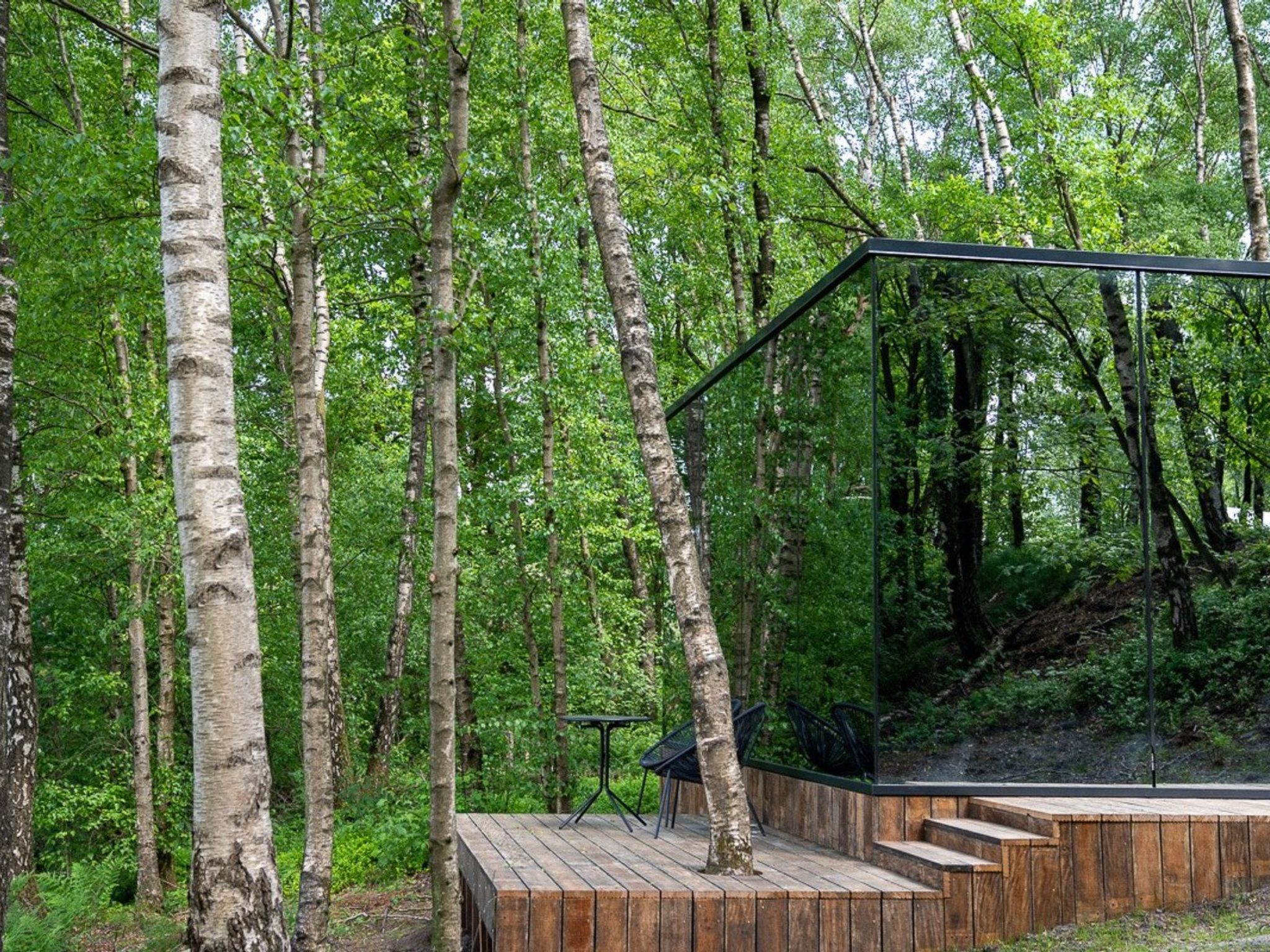 Wilsumer Berge Resort - ÖÖD Suite - Buiten