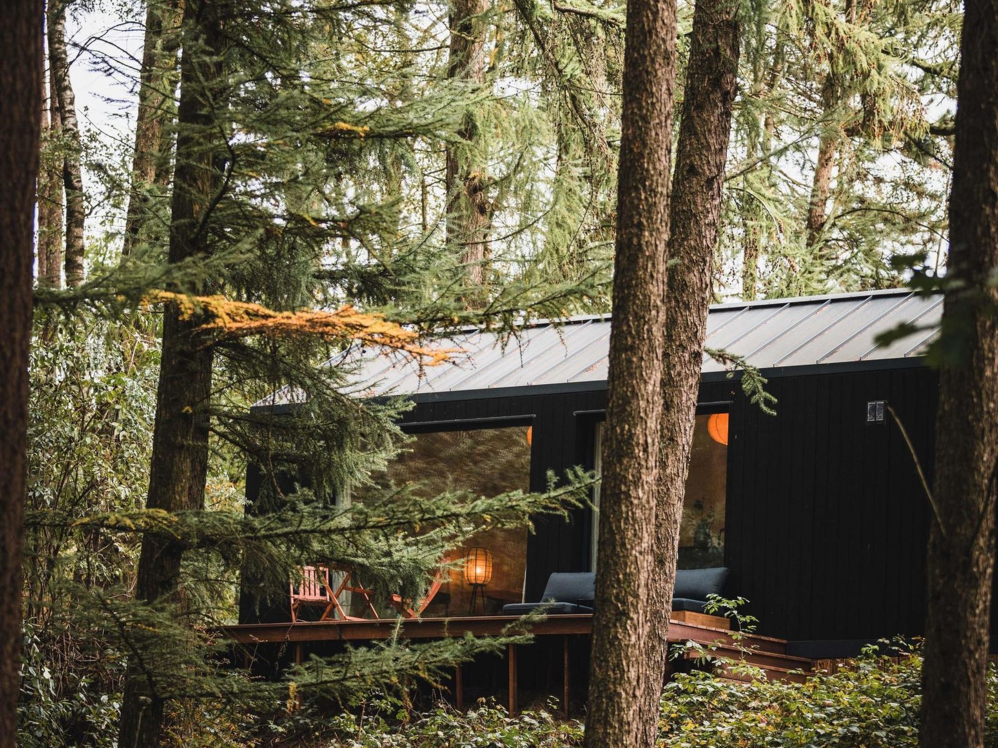 Wilsumer Berge Resort - Koya Tiny Cabin