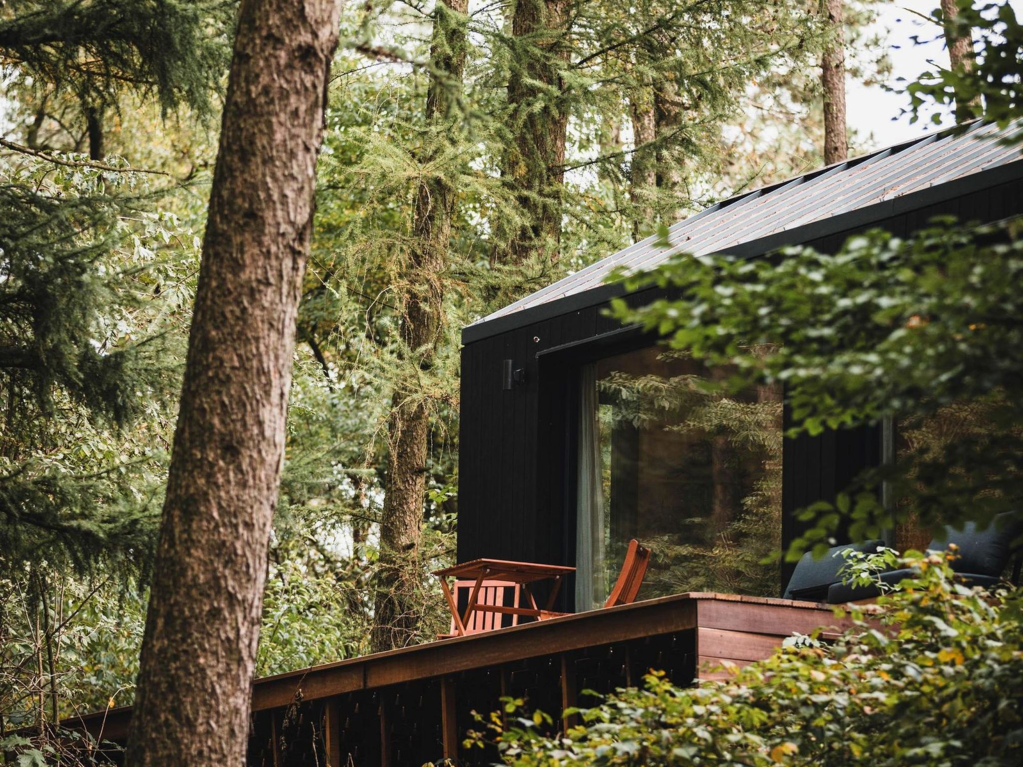 Wilsumer Berge Resort - Koya Tiny Cabin