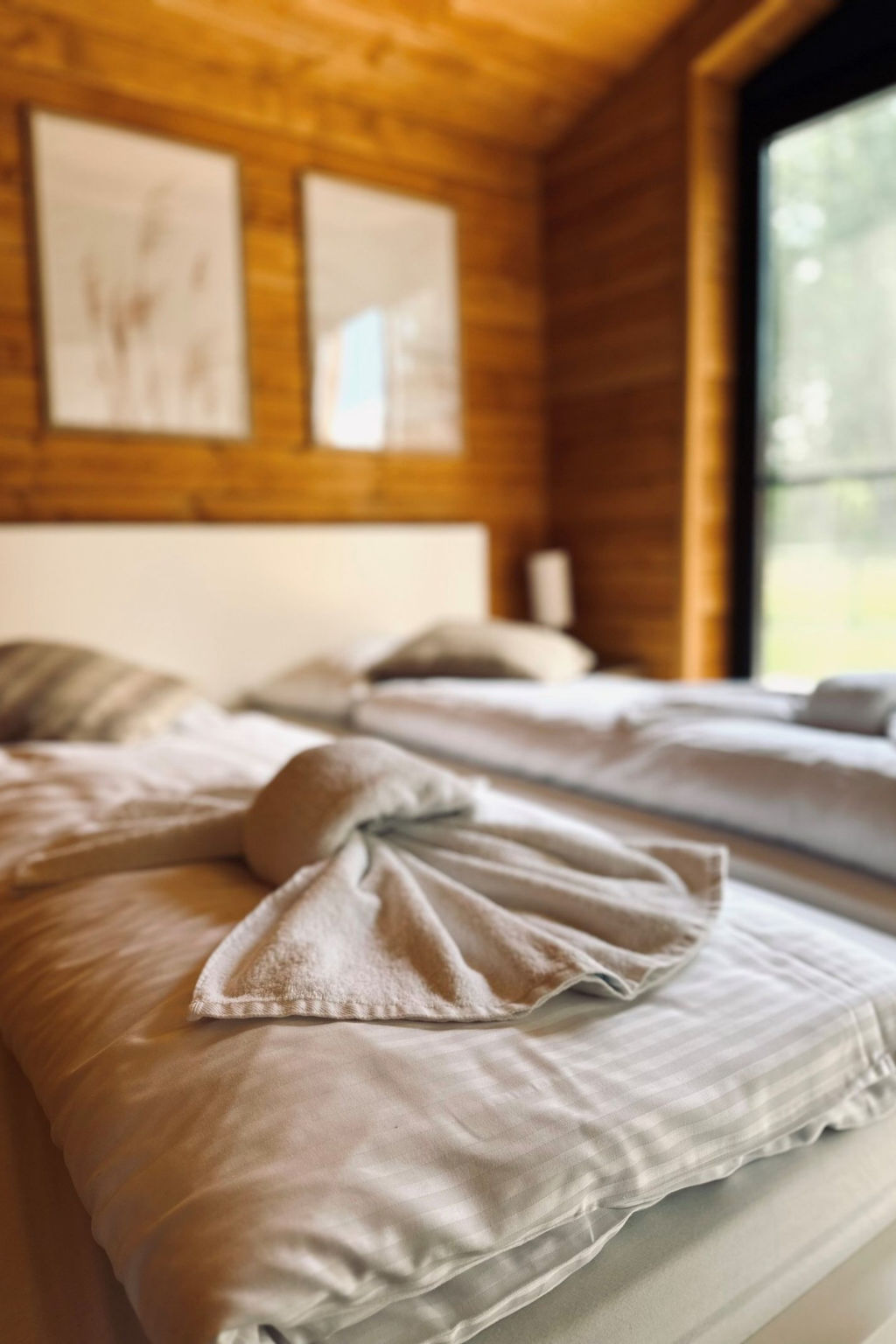 Wilsumer Berge Resort - Lake House Scandi 5 pers.