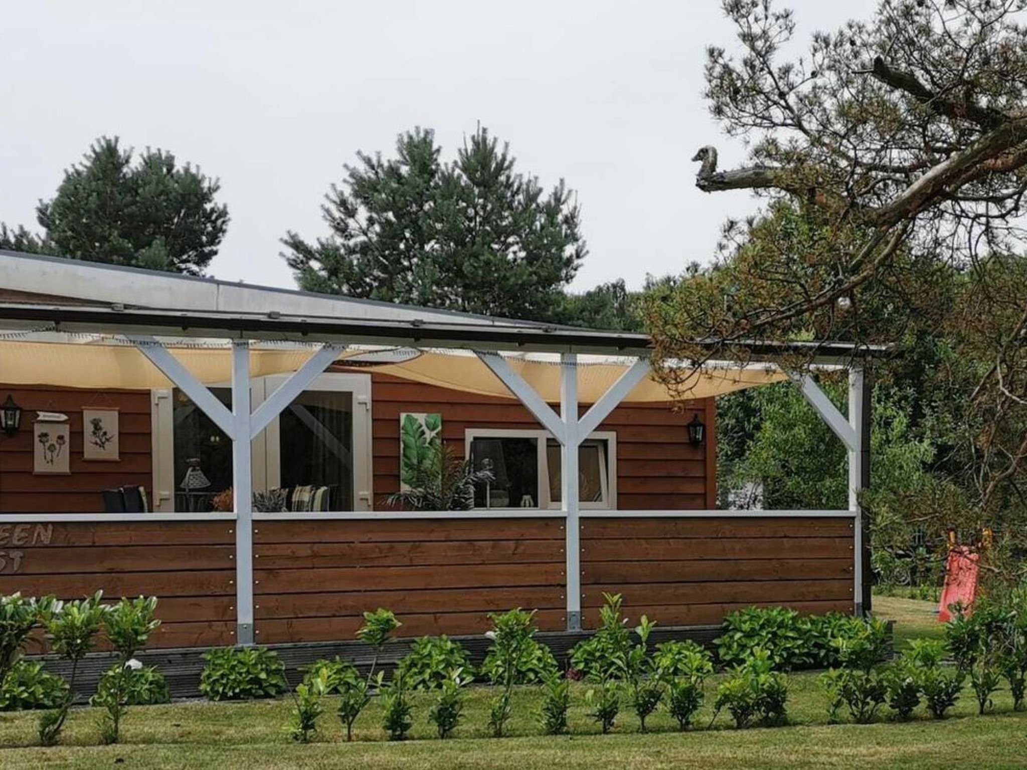 Wilsumer Berge Resort - Green Forest
