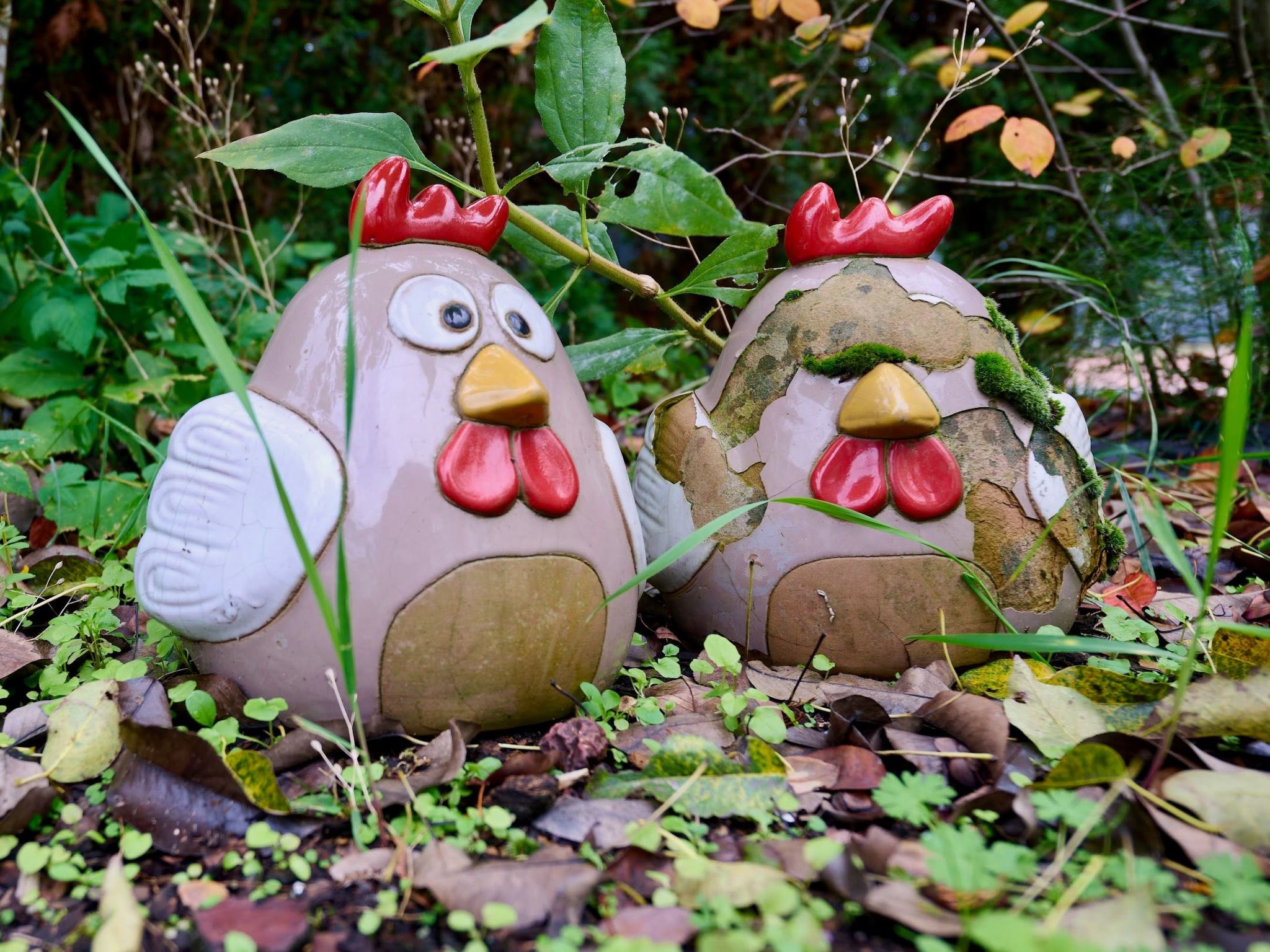 Schönes Ferienhaus in Brochterbeck mit Garten
