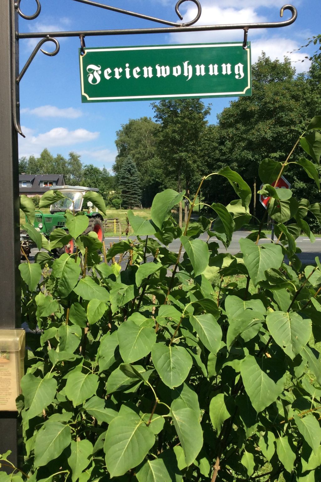 An der Königstrasse