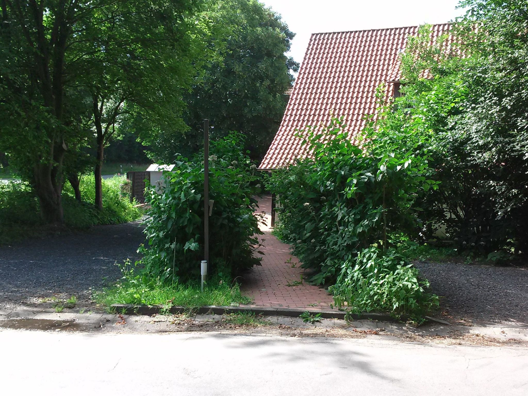 An der Königstrasse-Image-tags.info