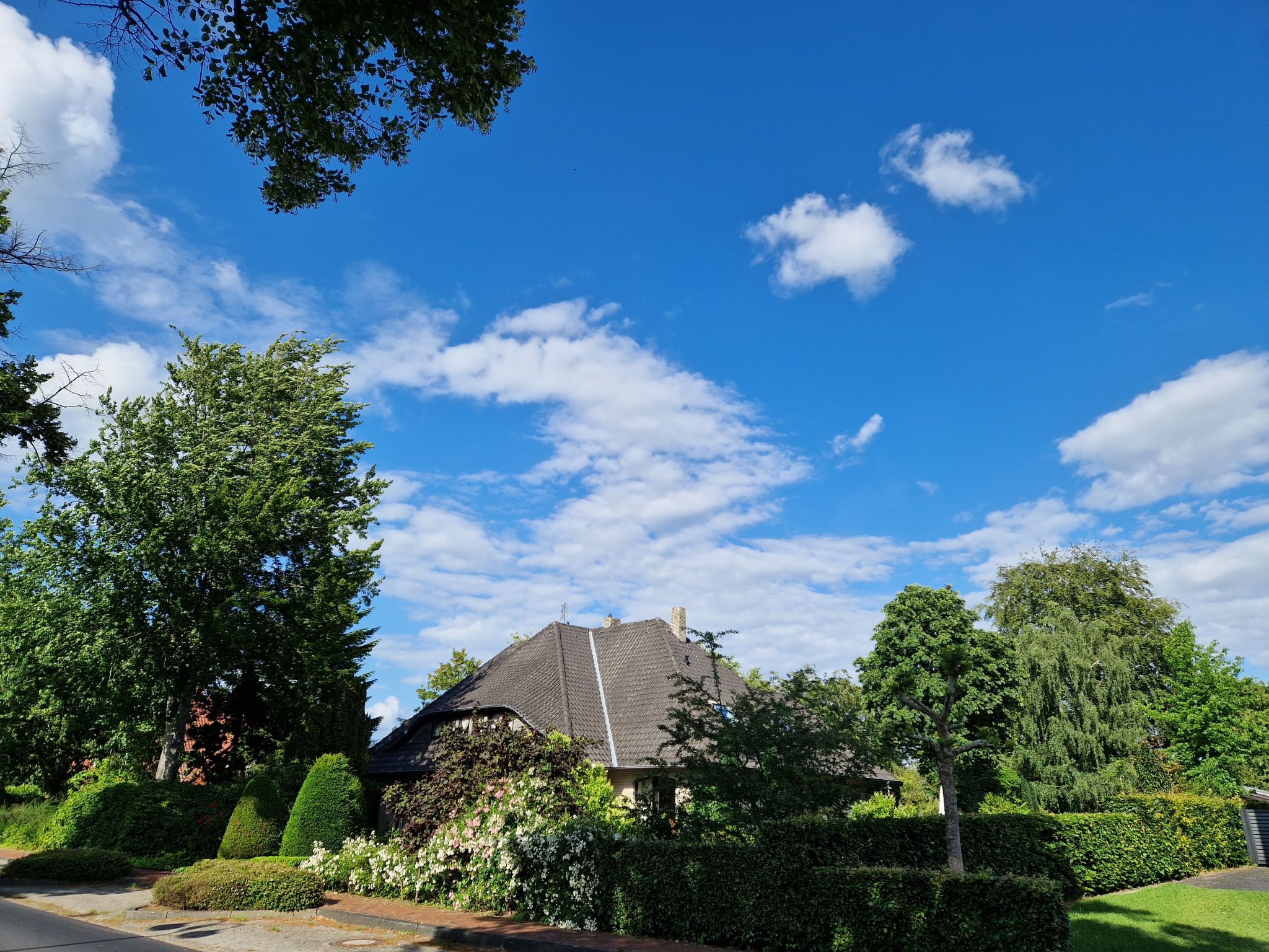 Schomaker-Fatmann-Binnen