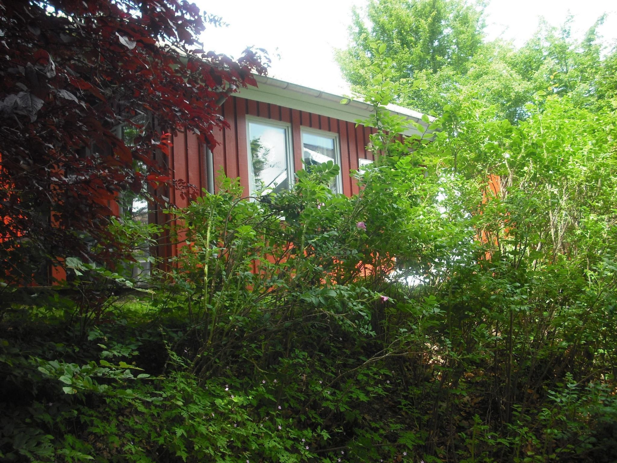 FH Igel - Extertal-Image-tags.info