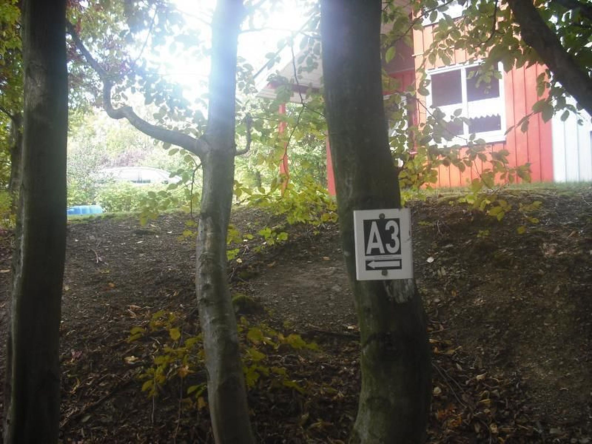 FH Igel - Extertal-Image-tags.info