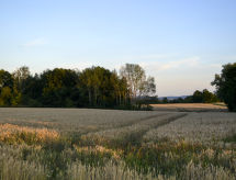 House image small