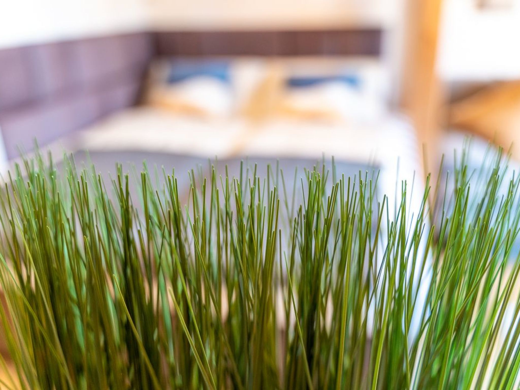 Golden Nugget-Image-tags.info