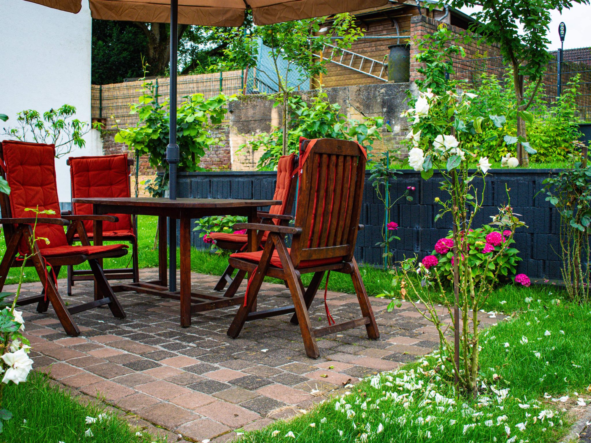 Luxury Studio Siena in Frechen-Bachem bei Köln. — Terrace (5 of 41)