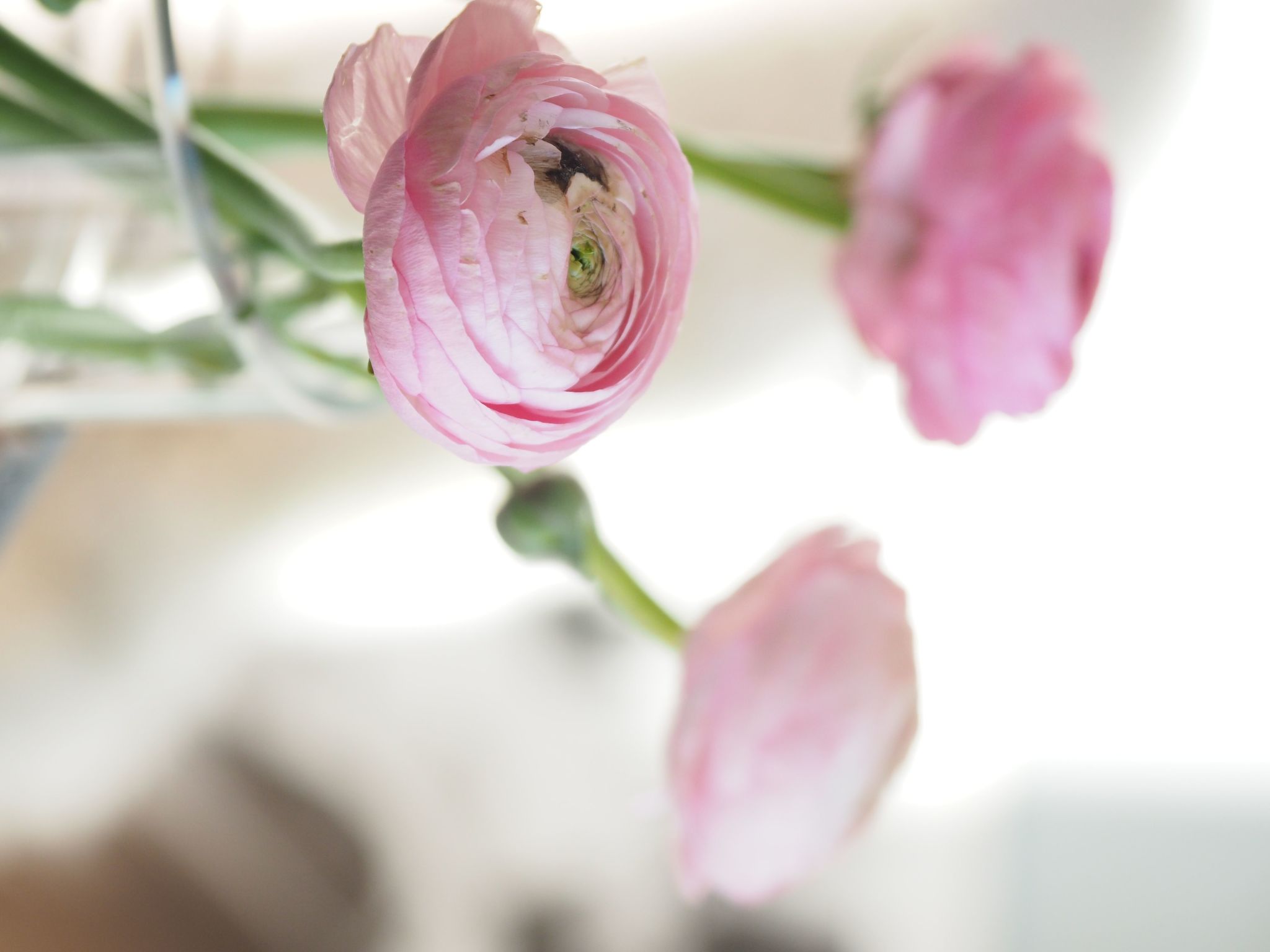 Exklusives Ferienhaus mit Terrasse und Garten-Image-tags.info