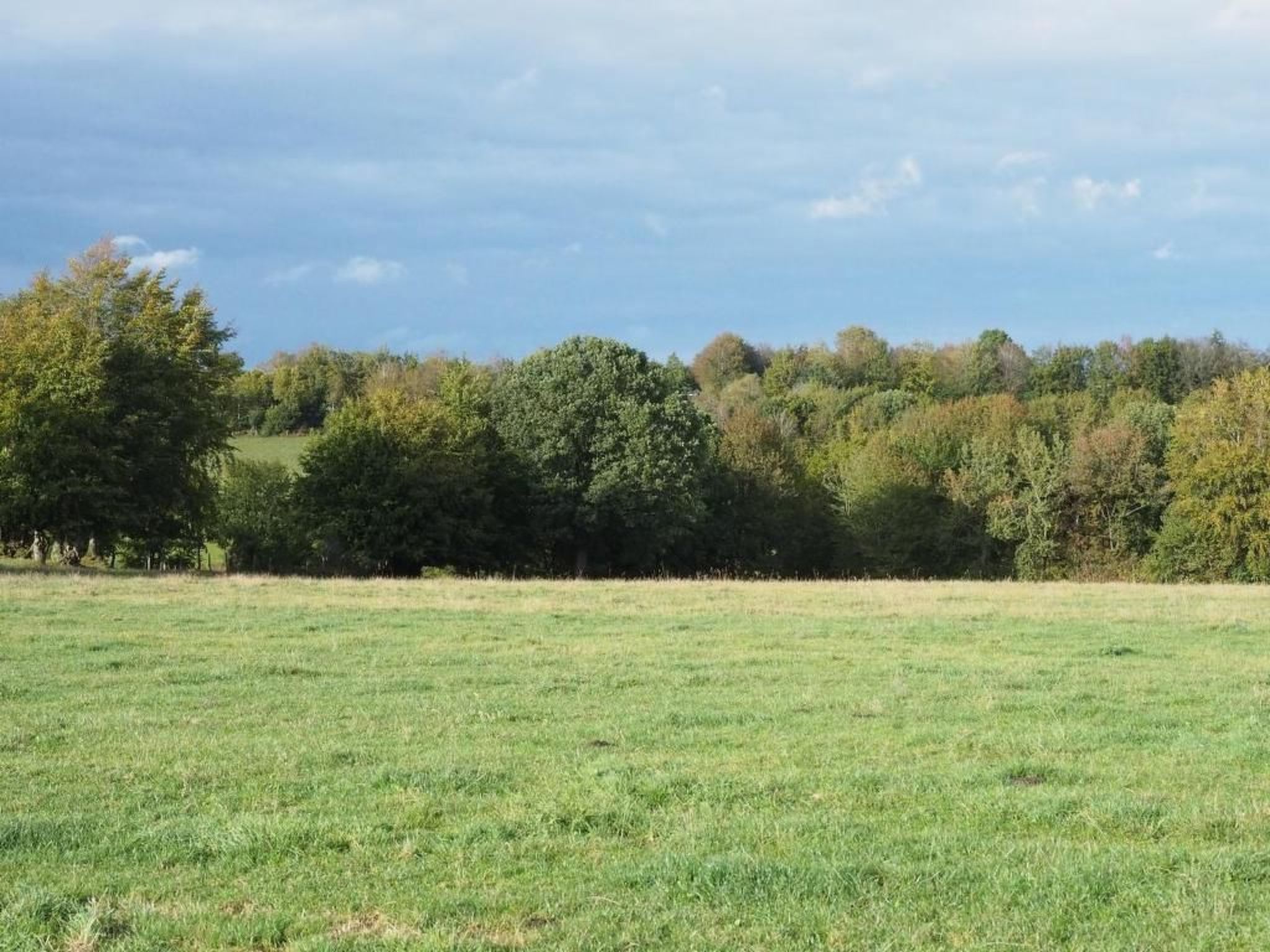 Exklusives Ferienhaus mit Terrasse und Garten-Image-tags.info