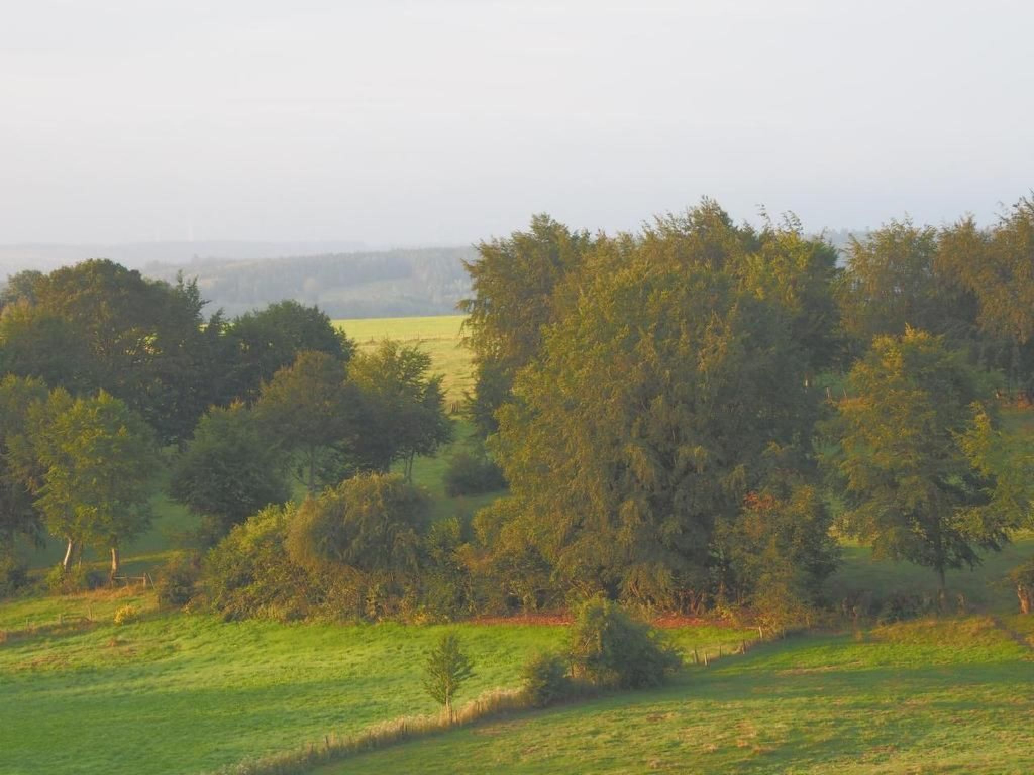 Exklusives Ferienhaus mit Terrasse und Garten-Image-tags.info