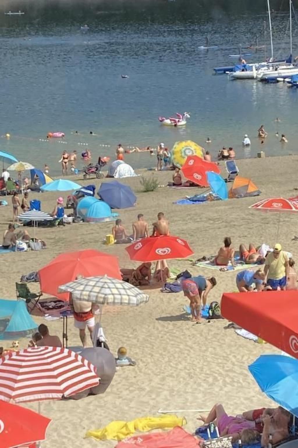 Exklusives Ferienhaus mit Terrasse und Garten-Image-tags.info