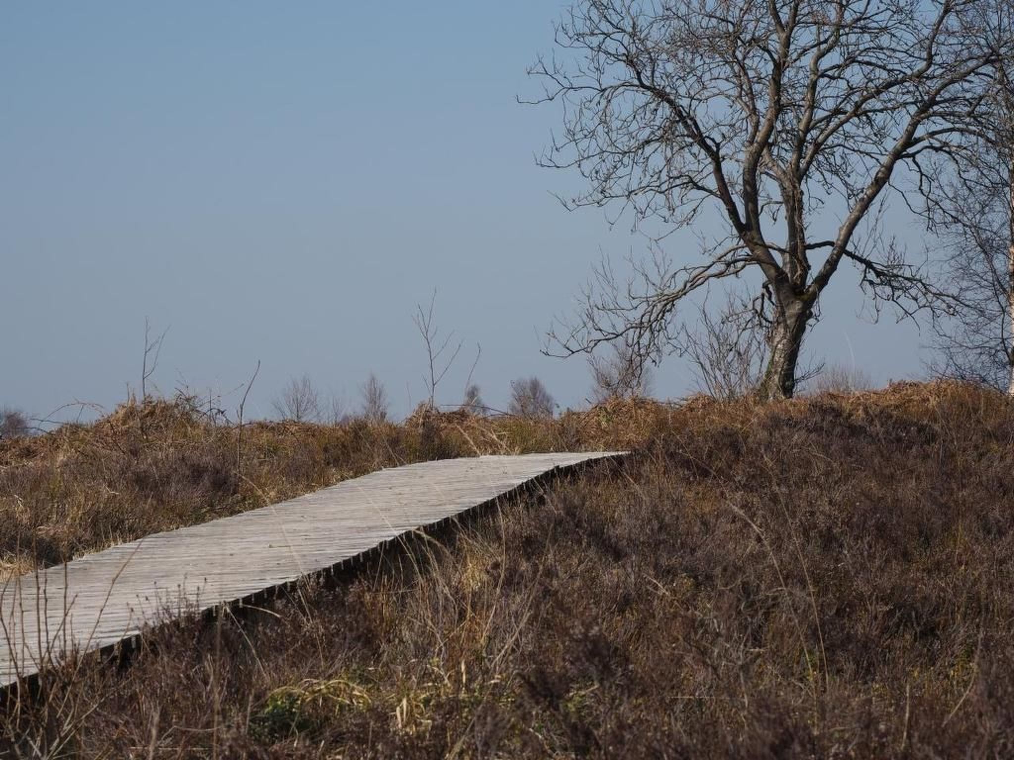 Exklusives Ferienhaus mit Terrasse und Garten-Image-tags.info