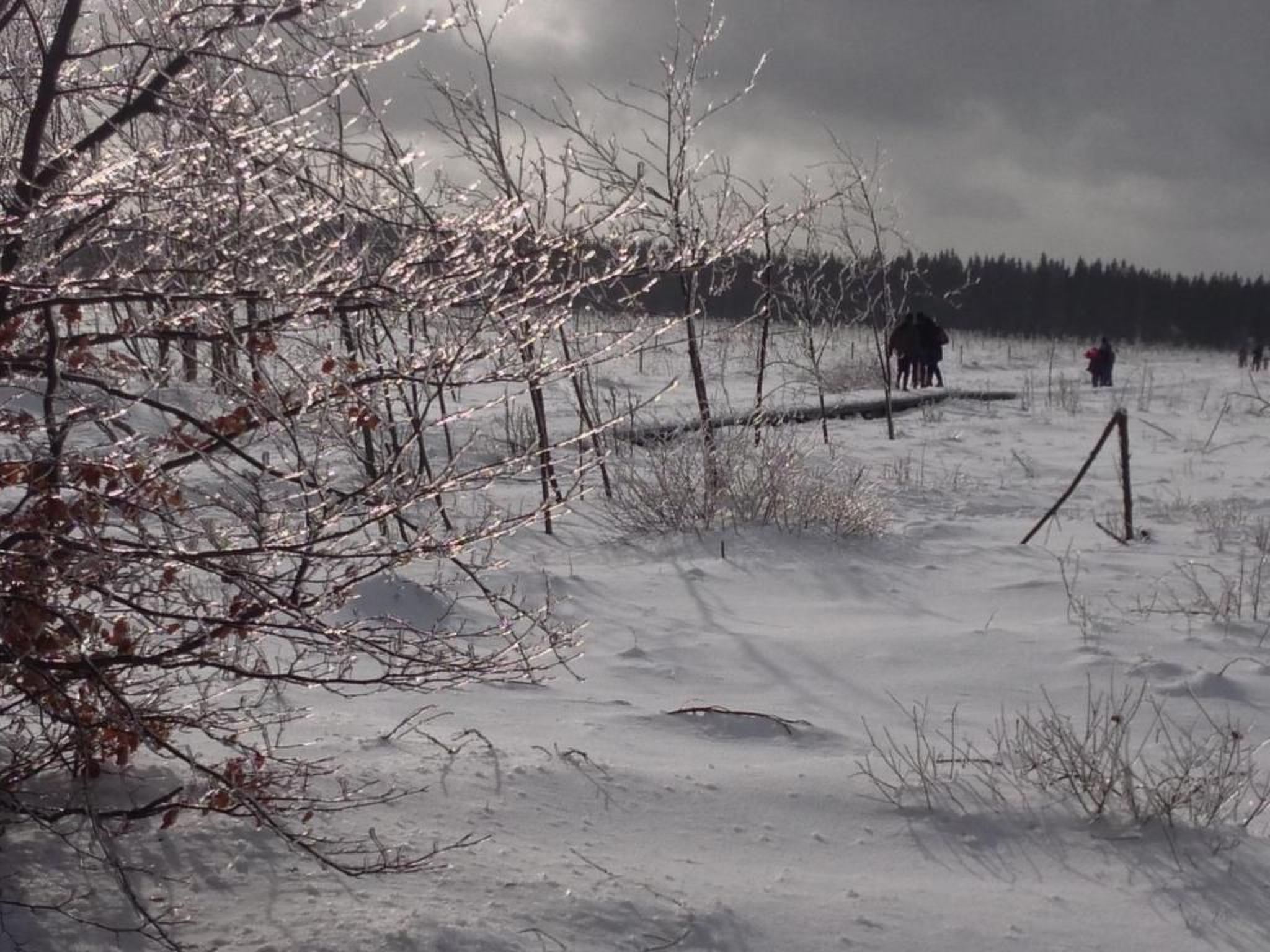 Exklusives Ferienhaus mit Terrasse und Garten-Image-tags.info