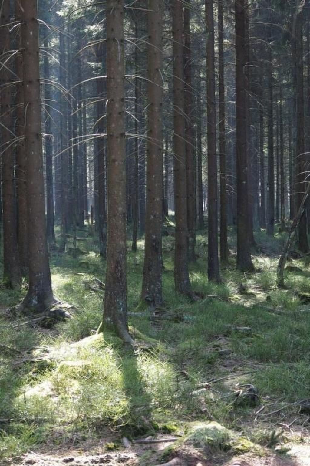 Exklusives Ferienhaus mit Terrasse und Garten-Image-tags.info