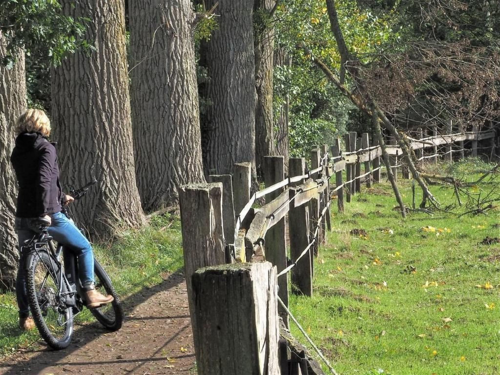 Exklusives Ferienhaus mit Terrasse und Garten-Image-tags.info