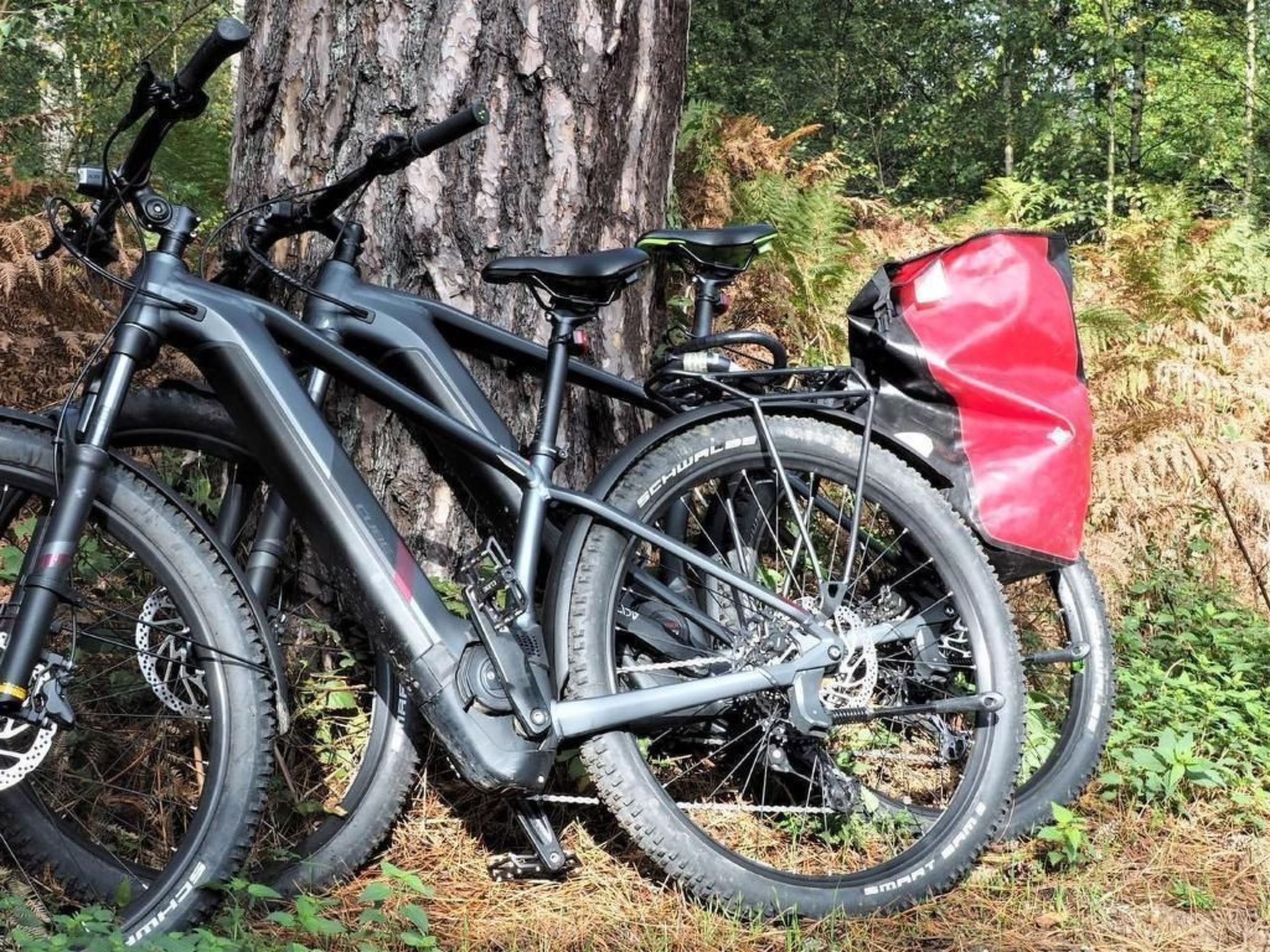 Exklusives Ferienhaus mit Terrasse und Garten-Image-tags.info