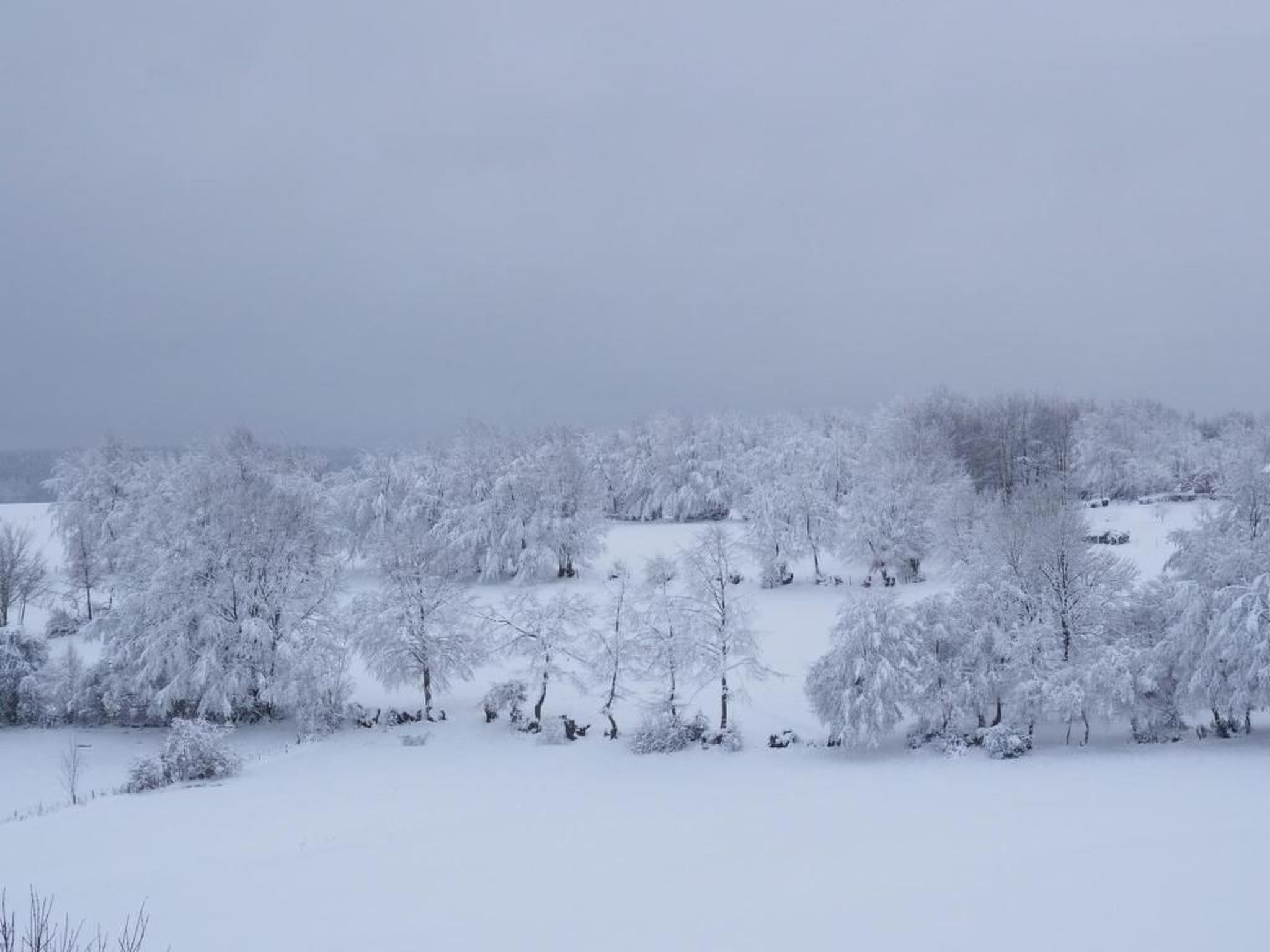Exklusives Ferienhaus mit Terrasse und Garten-Image-tags.info