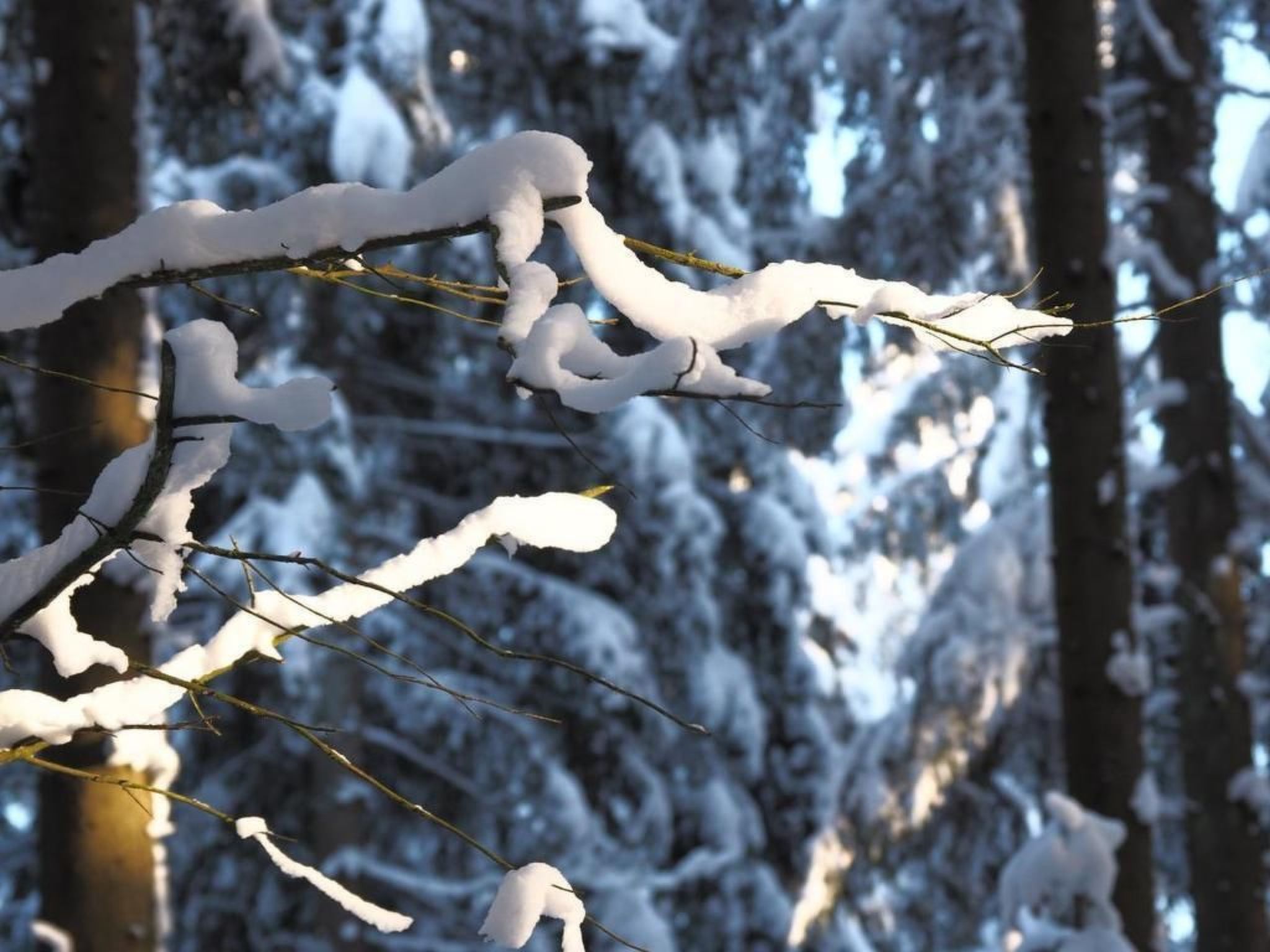 Exklusives Ferienhaus mit Terrasse und Garten-Image-tags.info