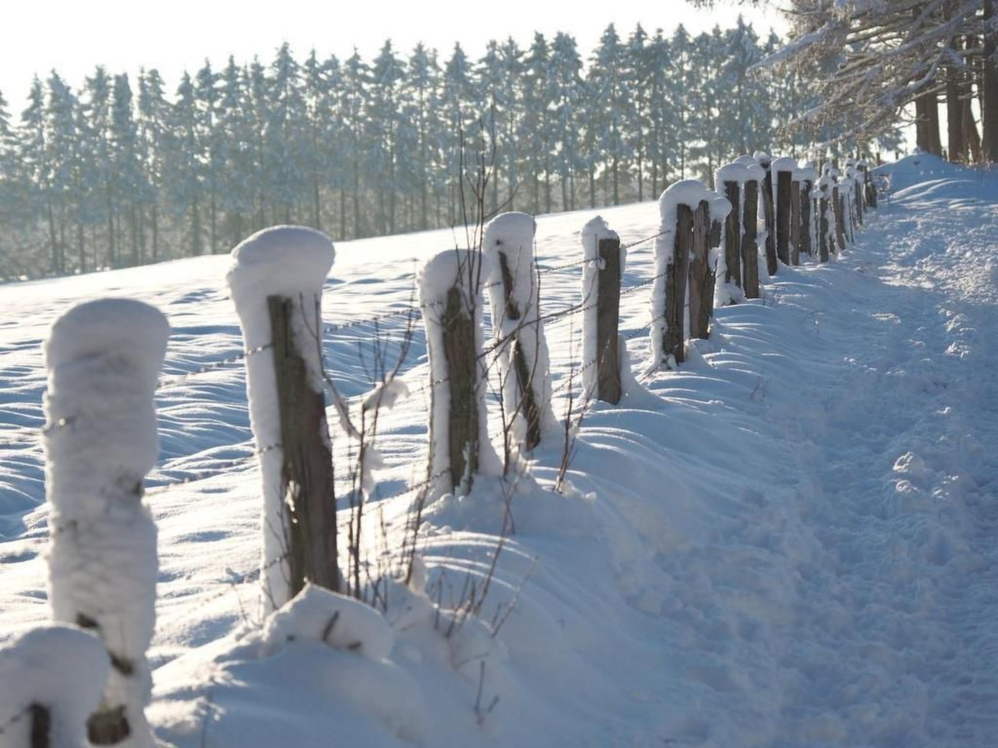 Exklusives Ferienhaus mit Terrasse und Garten-Image-tags.info