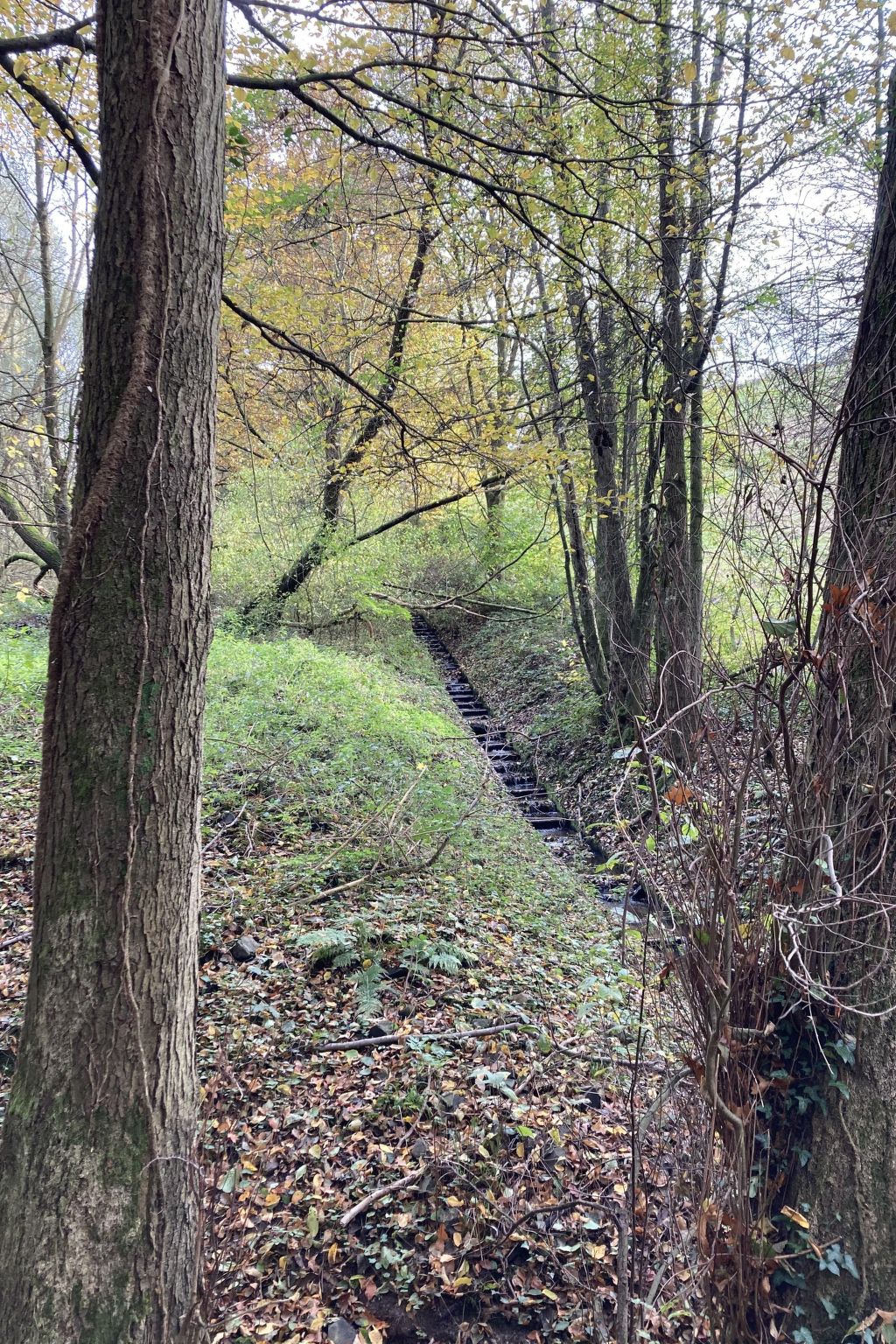 Exklusives Ferienhaus mit Terrasse und Garten-Image-tags.info