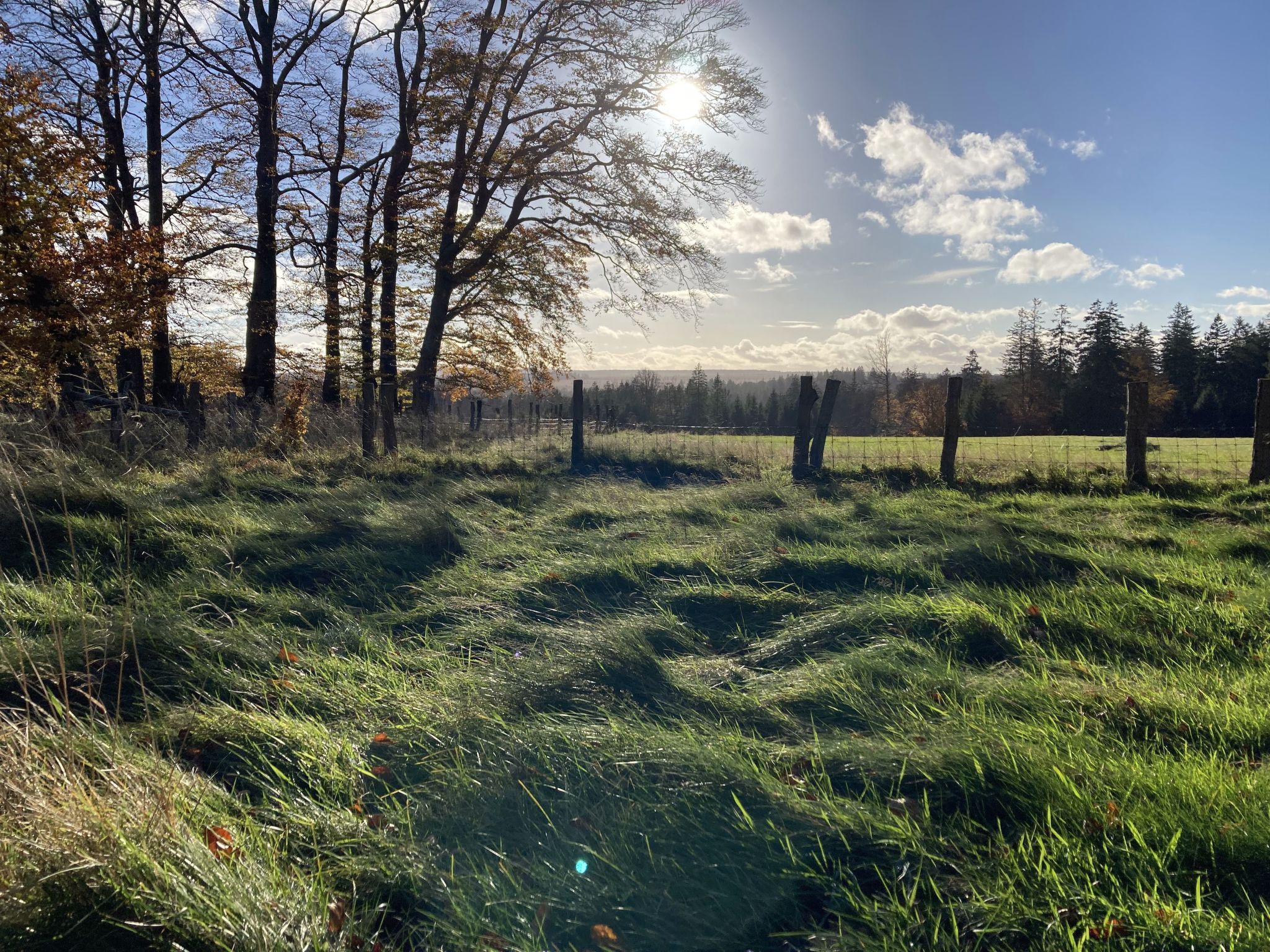 Exklusives Ferienhaus mit Terrasse und Garten-Image-tags.info