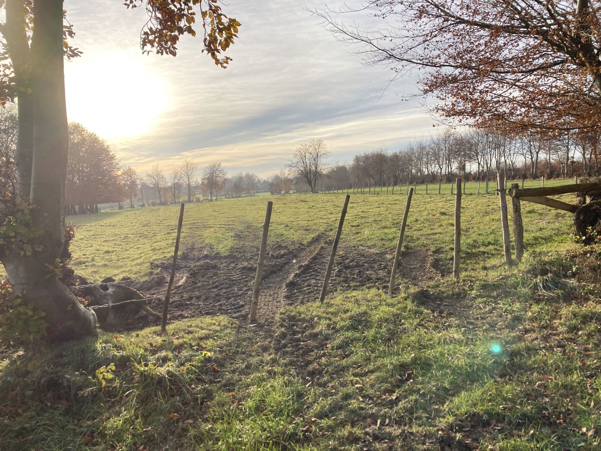 Exklusives Ferienhaus mit Terrasse und Garten-Image-tags.info