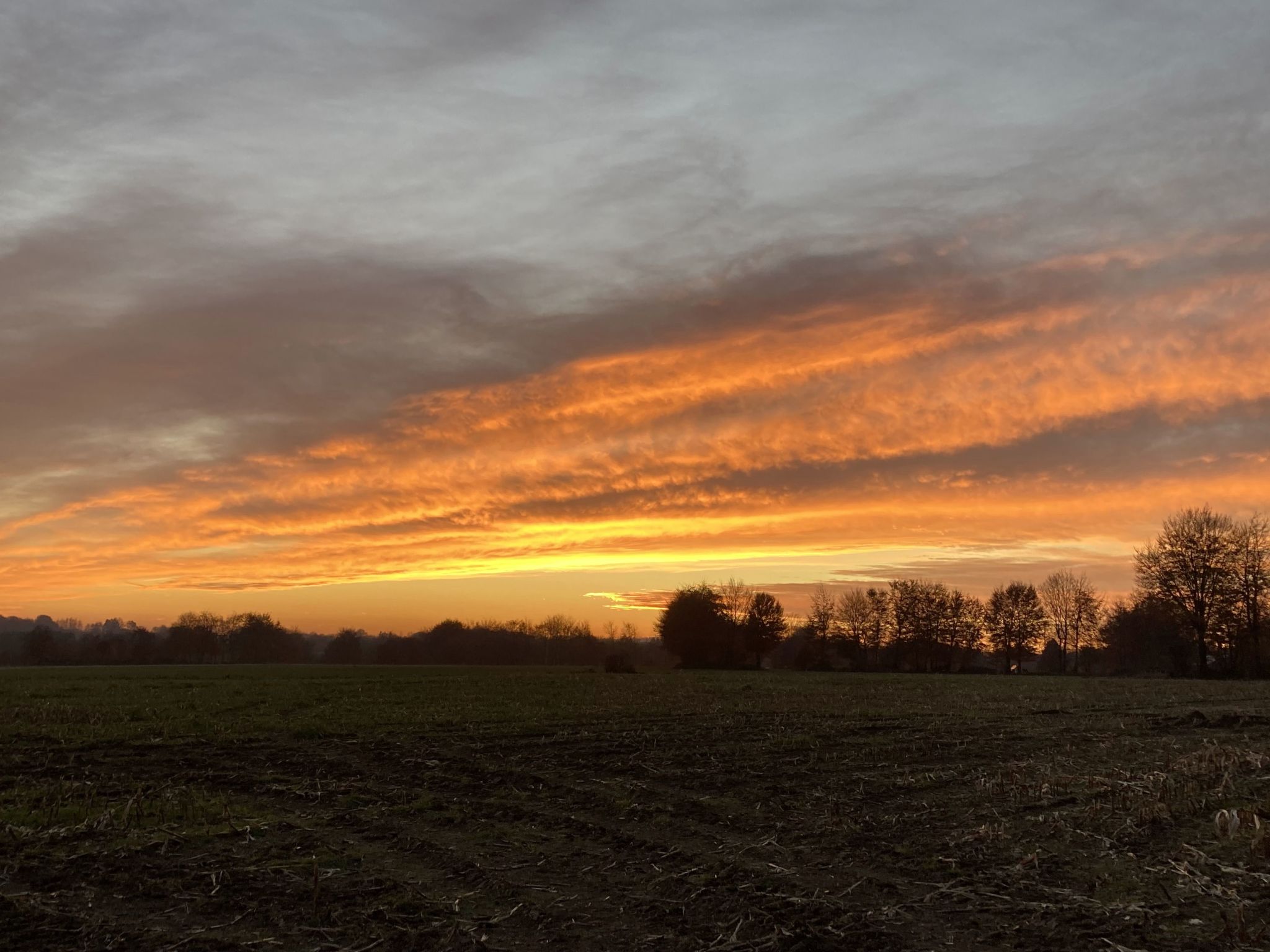 Exklusives Ferienhaus mit Terrasse und Garten-Image-tags.info