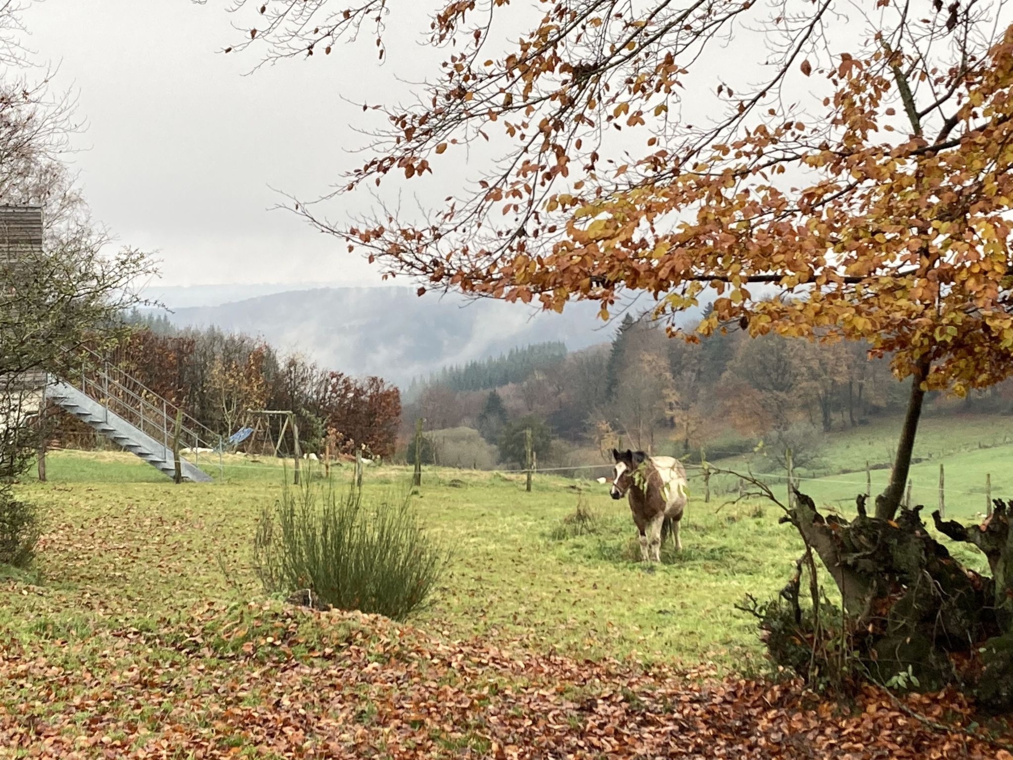 Exklusives Ferienhaus mit Terrasse und Garten-Image-tags.info