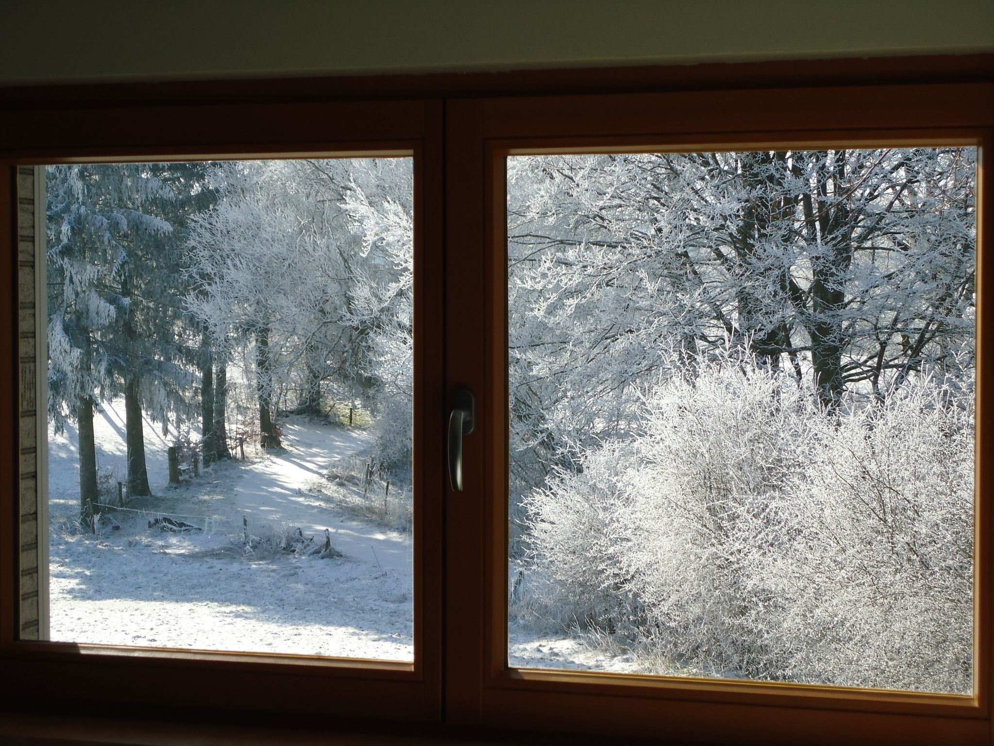 Am Hohen Venn-Image-tags.info